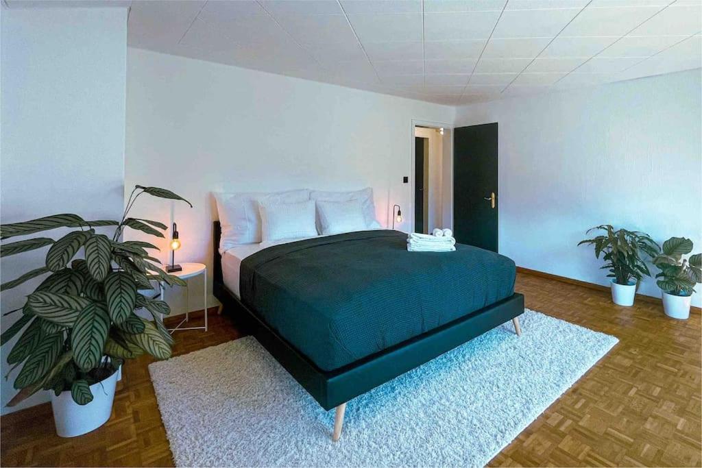 Three-Bedroom House photo 1