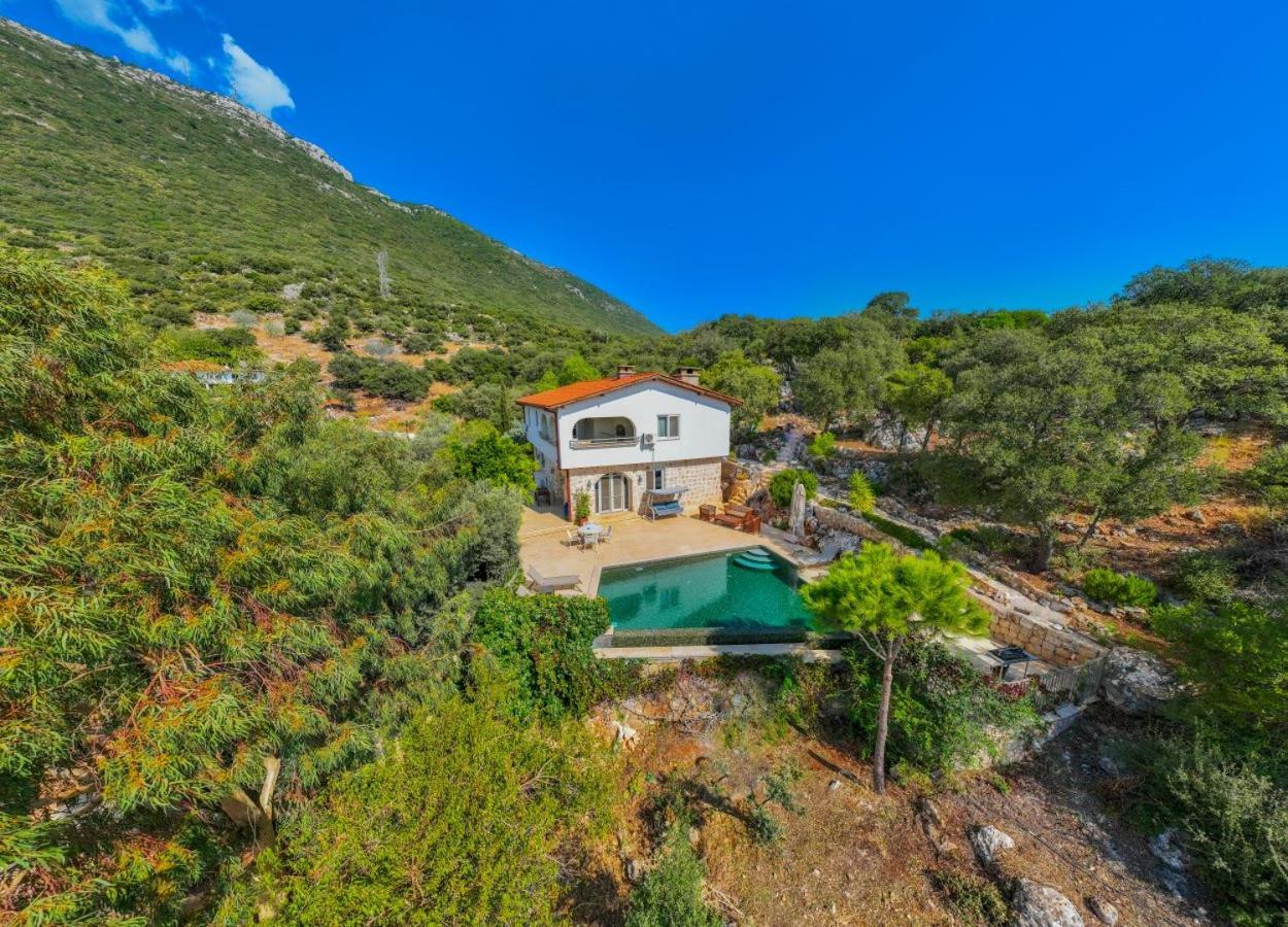 Villa with Sea View photo 2