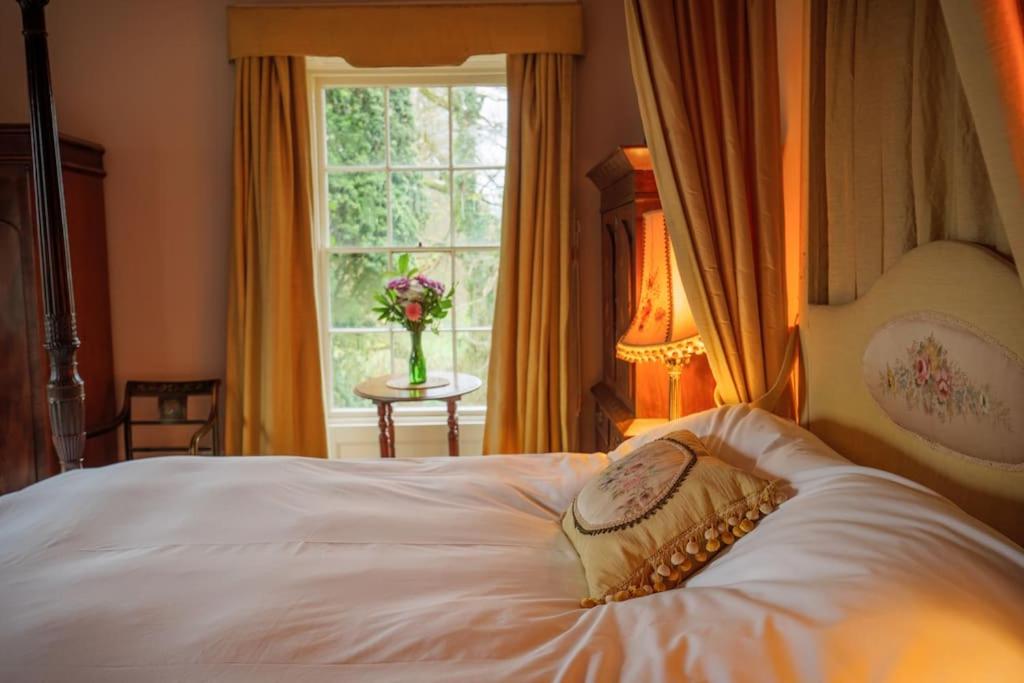 Superior King Room photo 1