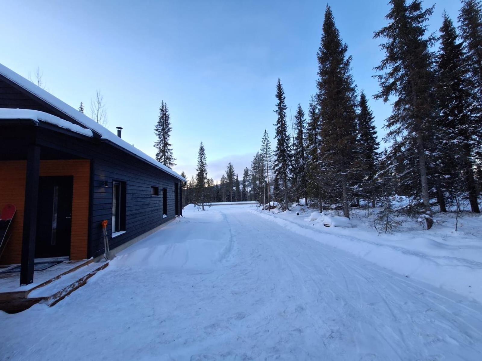 Three-Bedroom Chalet photo 2