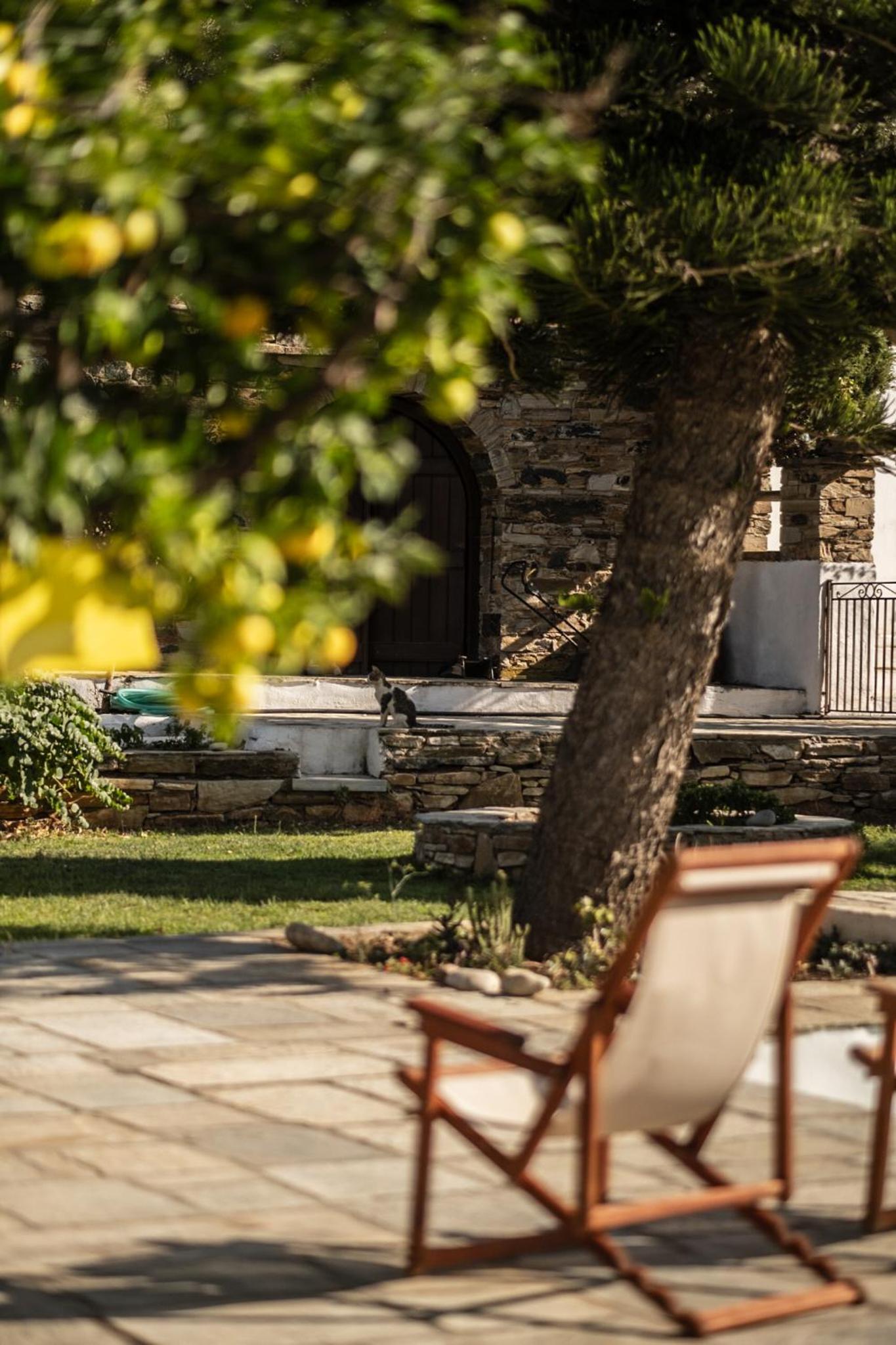 Vacation Home photo 3