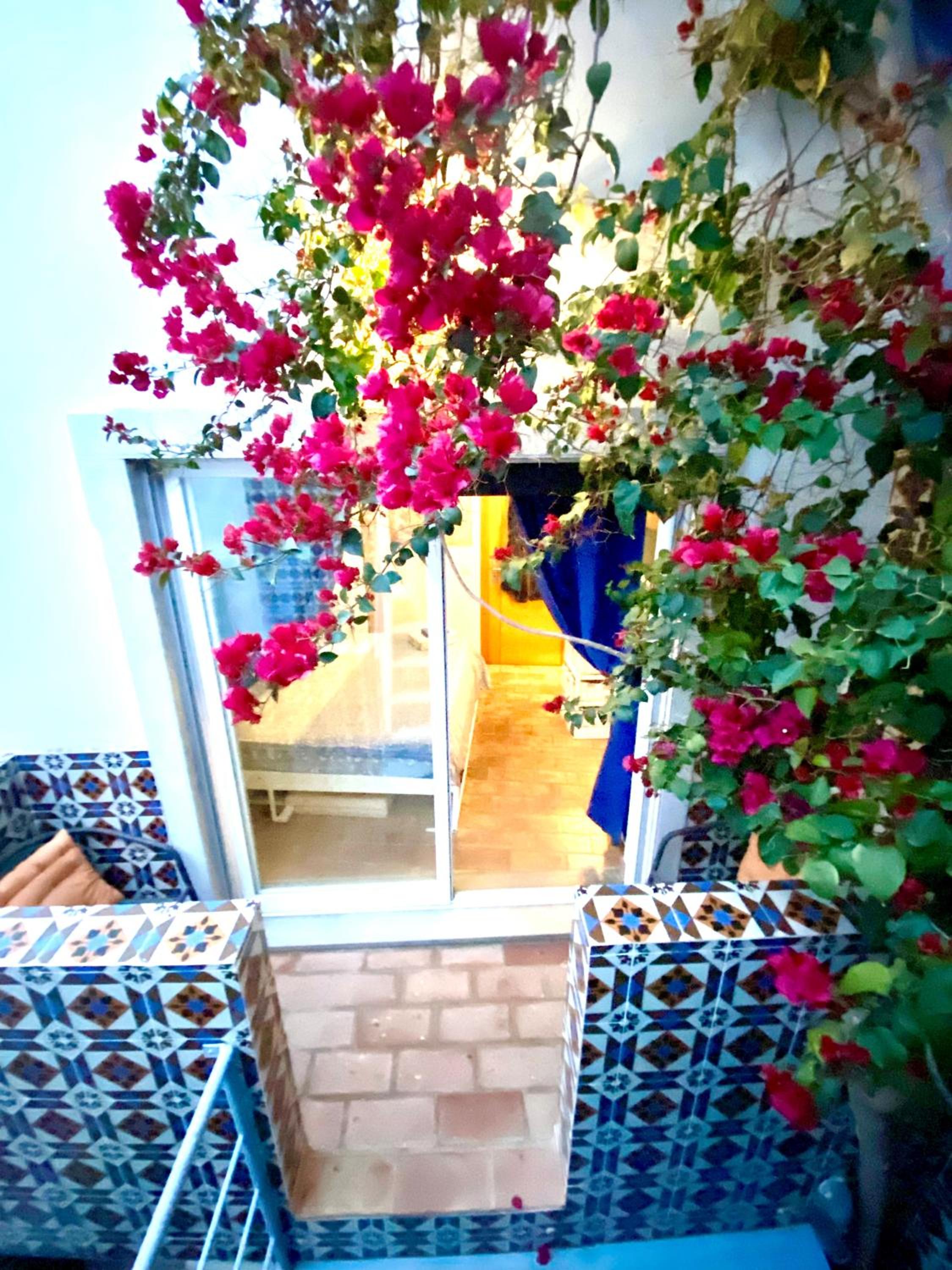 Double Room with Park View photo 2