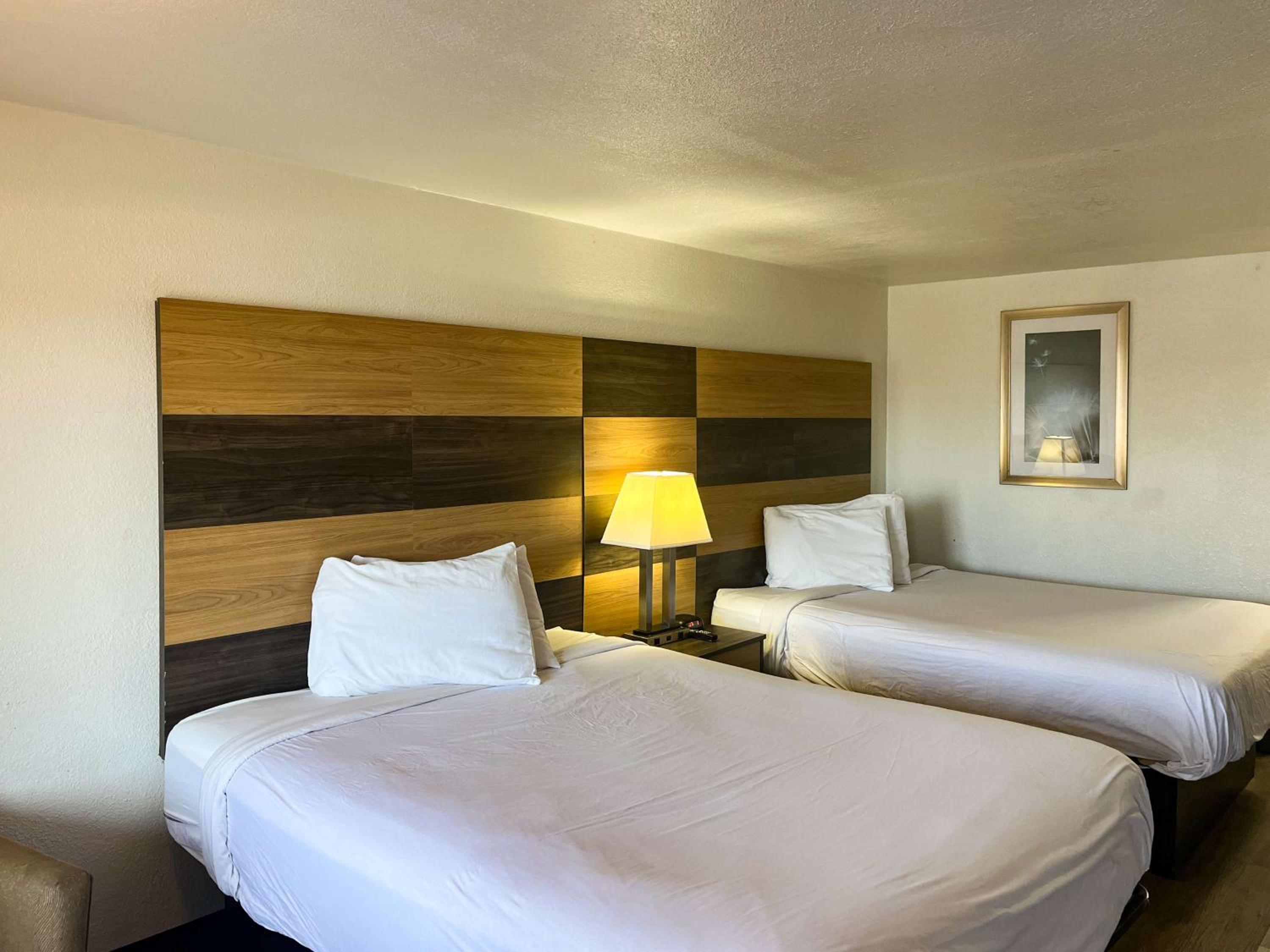 Queen Room with Two Queen Beds - Disability Access - Roll In Shower photo 1