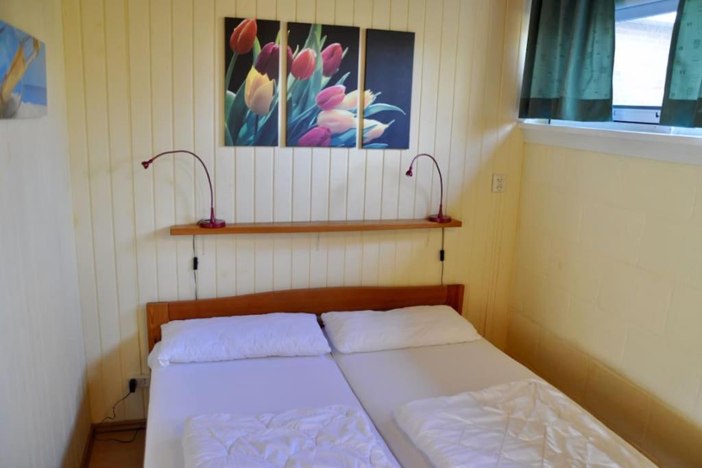 Two-Bedroom House photo 1