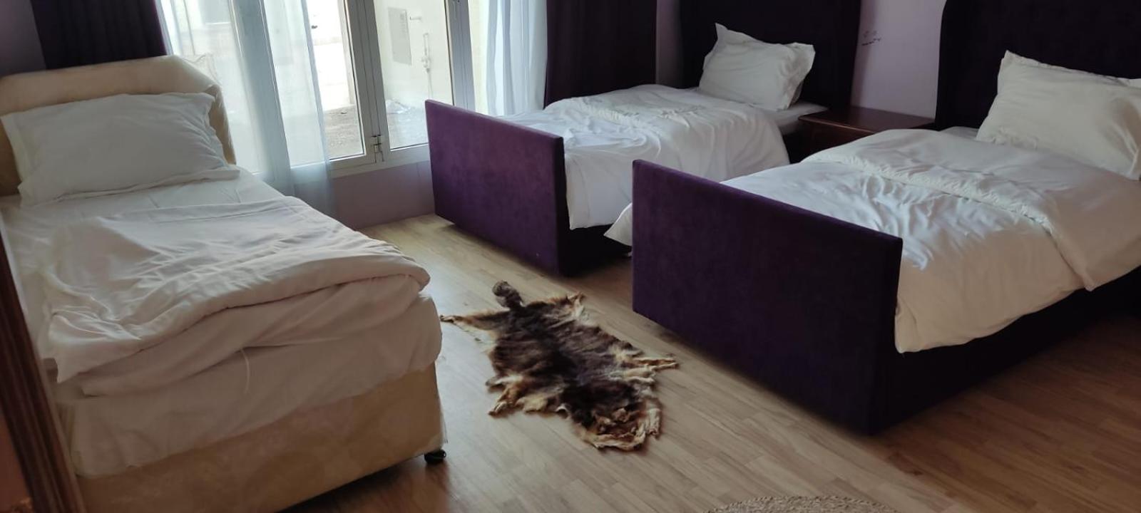 Triple Room photo 1