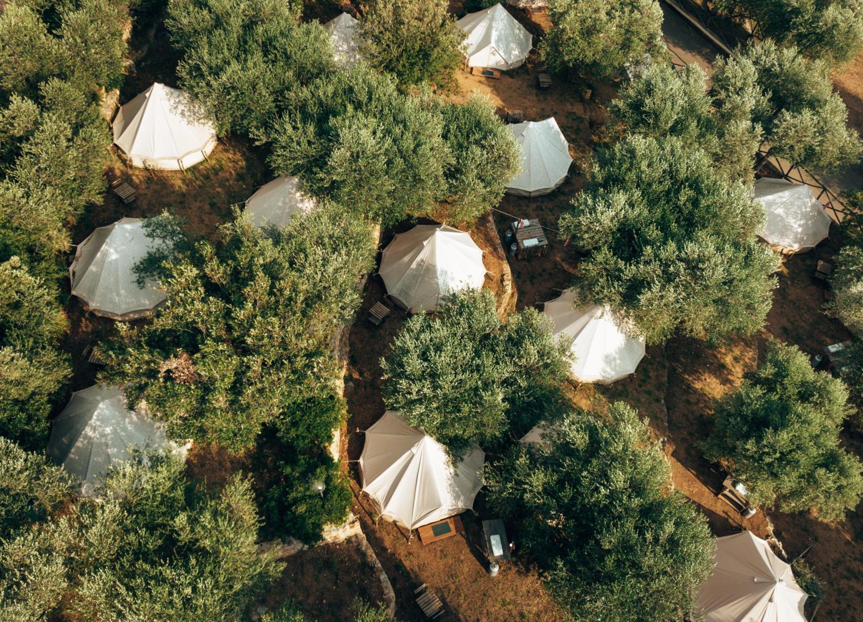 Superior Tent - Photo 9