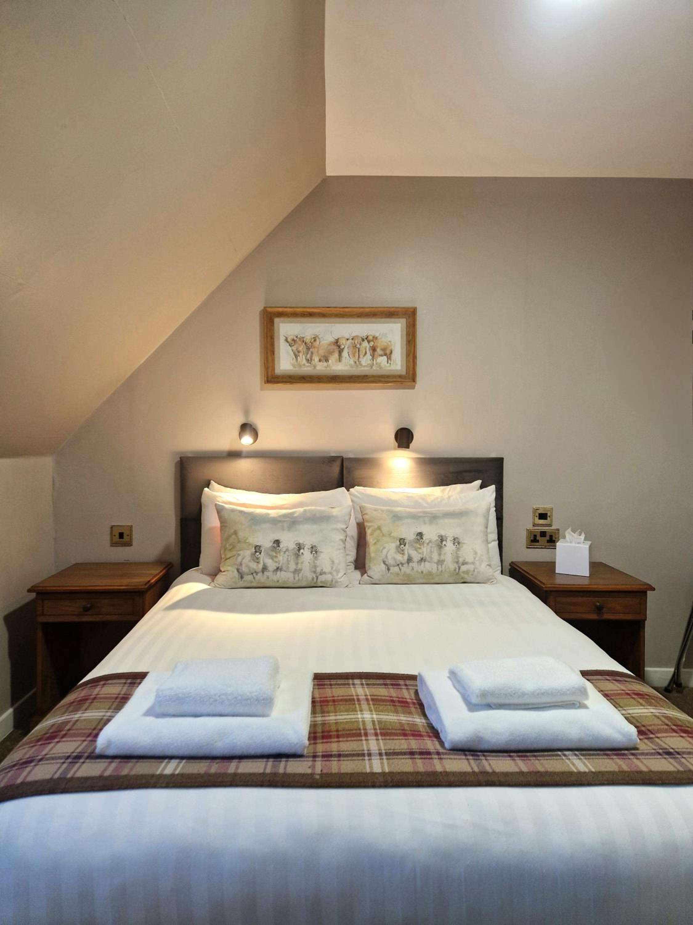 Cozy Double Room