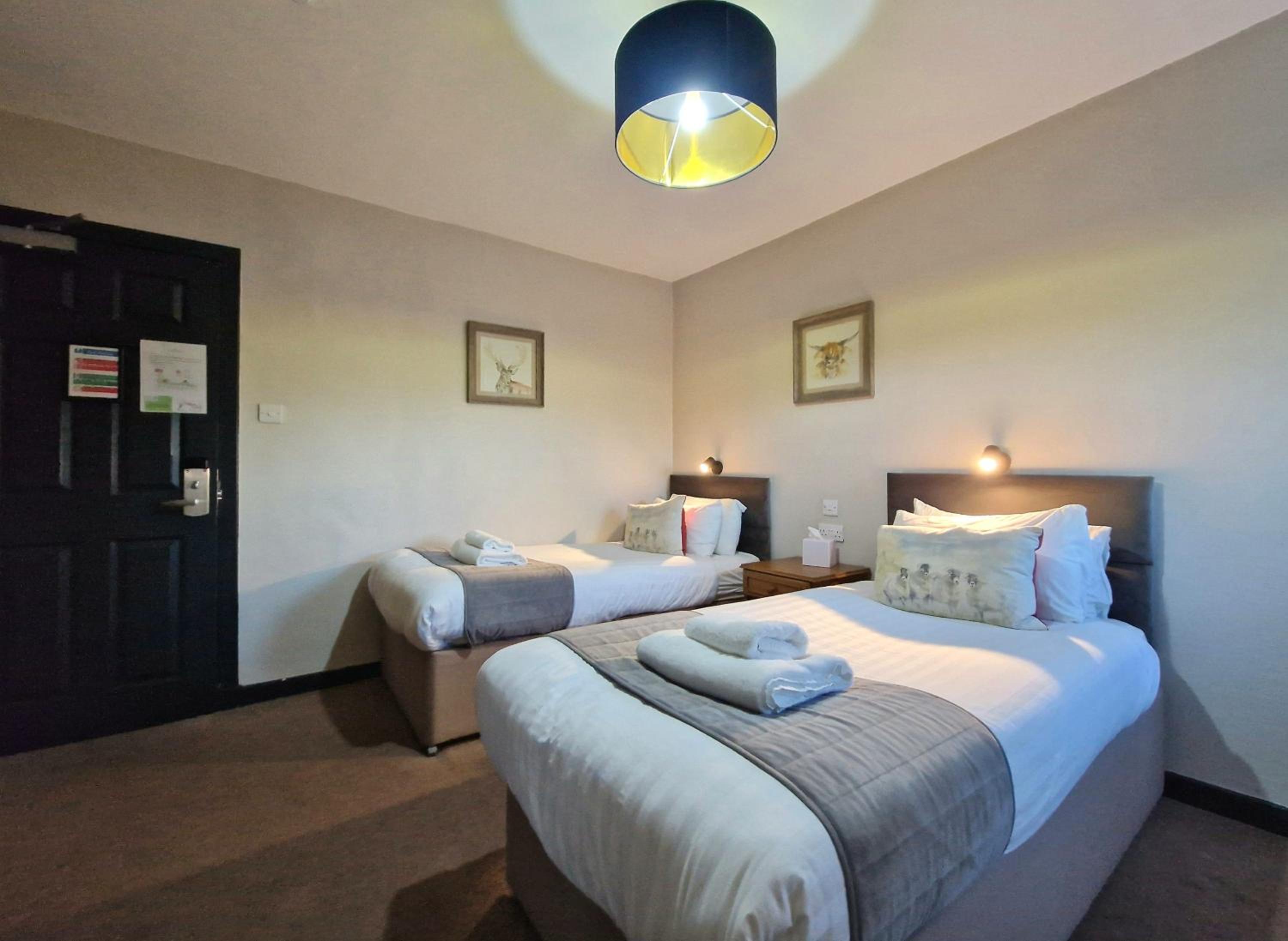 Cozy Twin Room