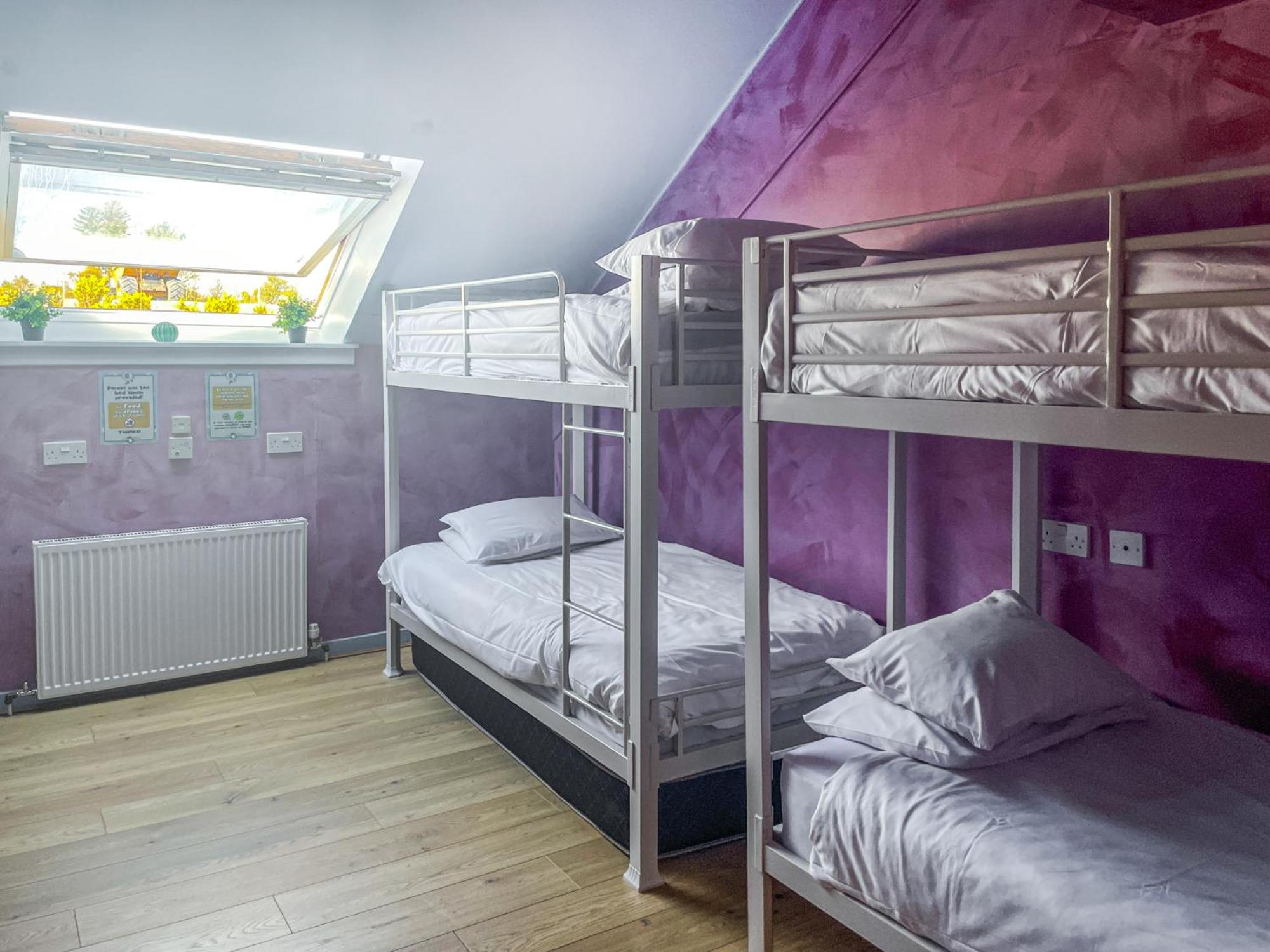 Bed in 6-Bed Mixed Dormitory Room photo 1