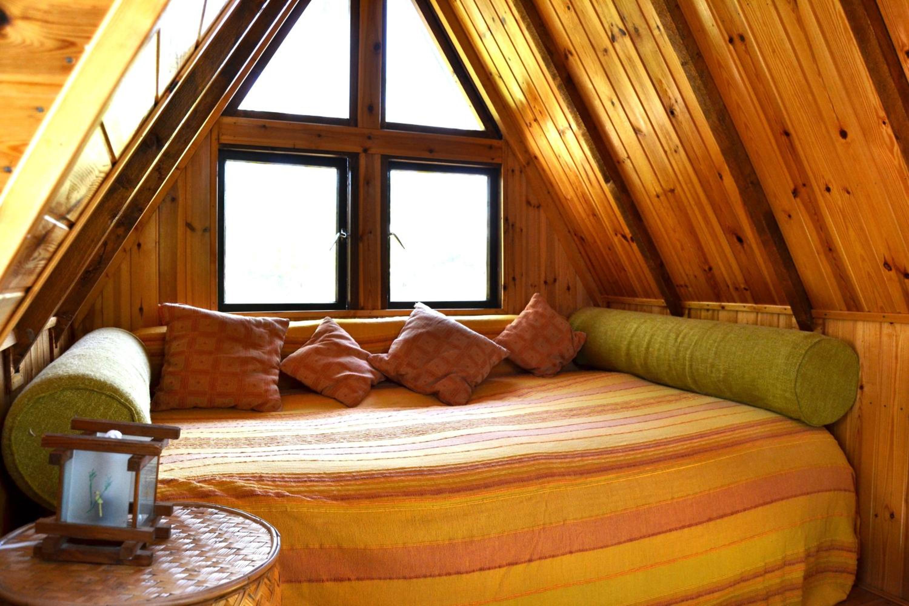 Tree House with Private External Bathroom photo 1