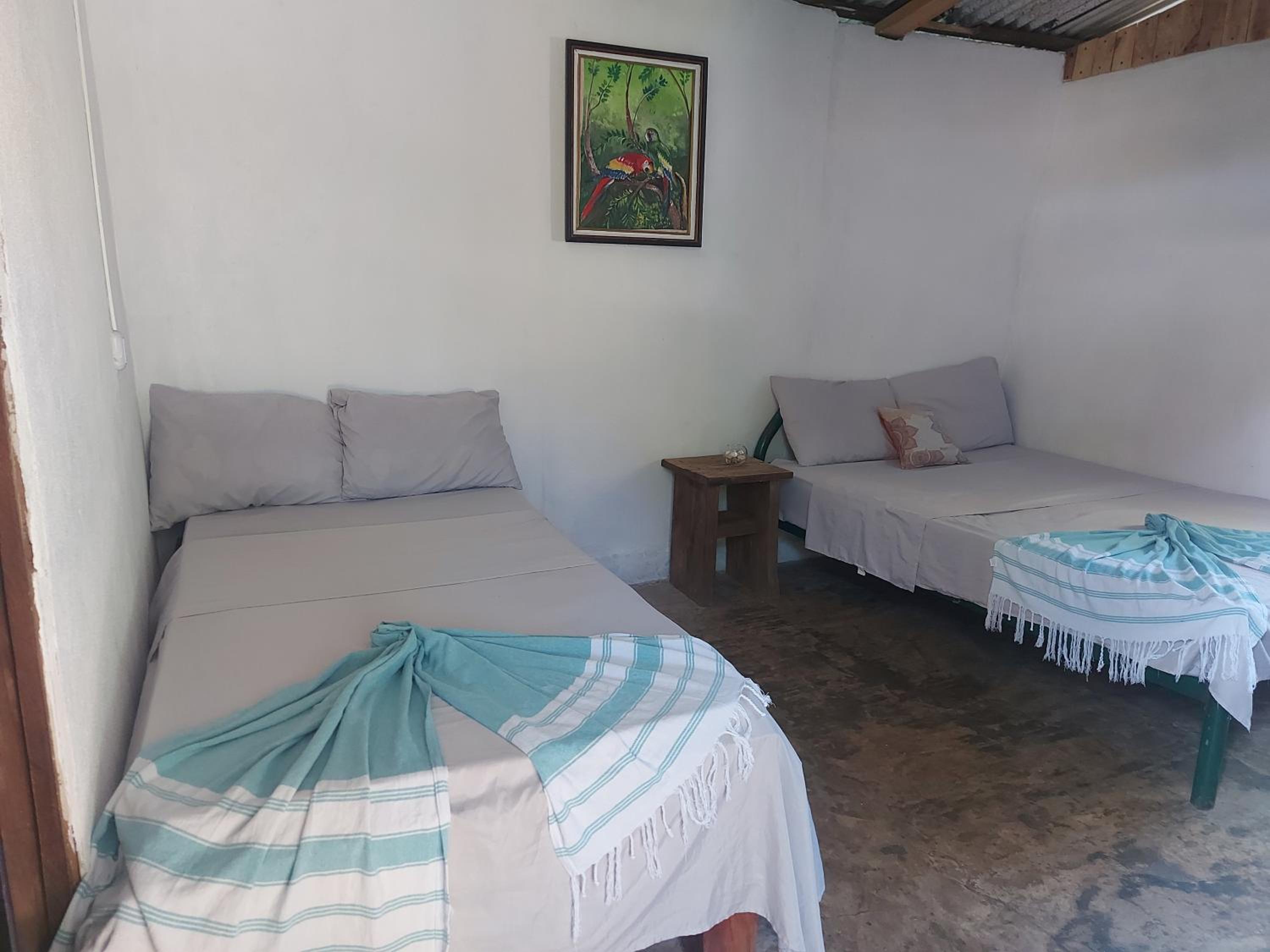 One-Bedroom House photo 1
