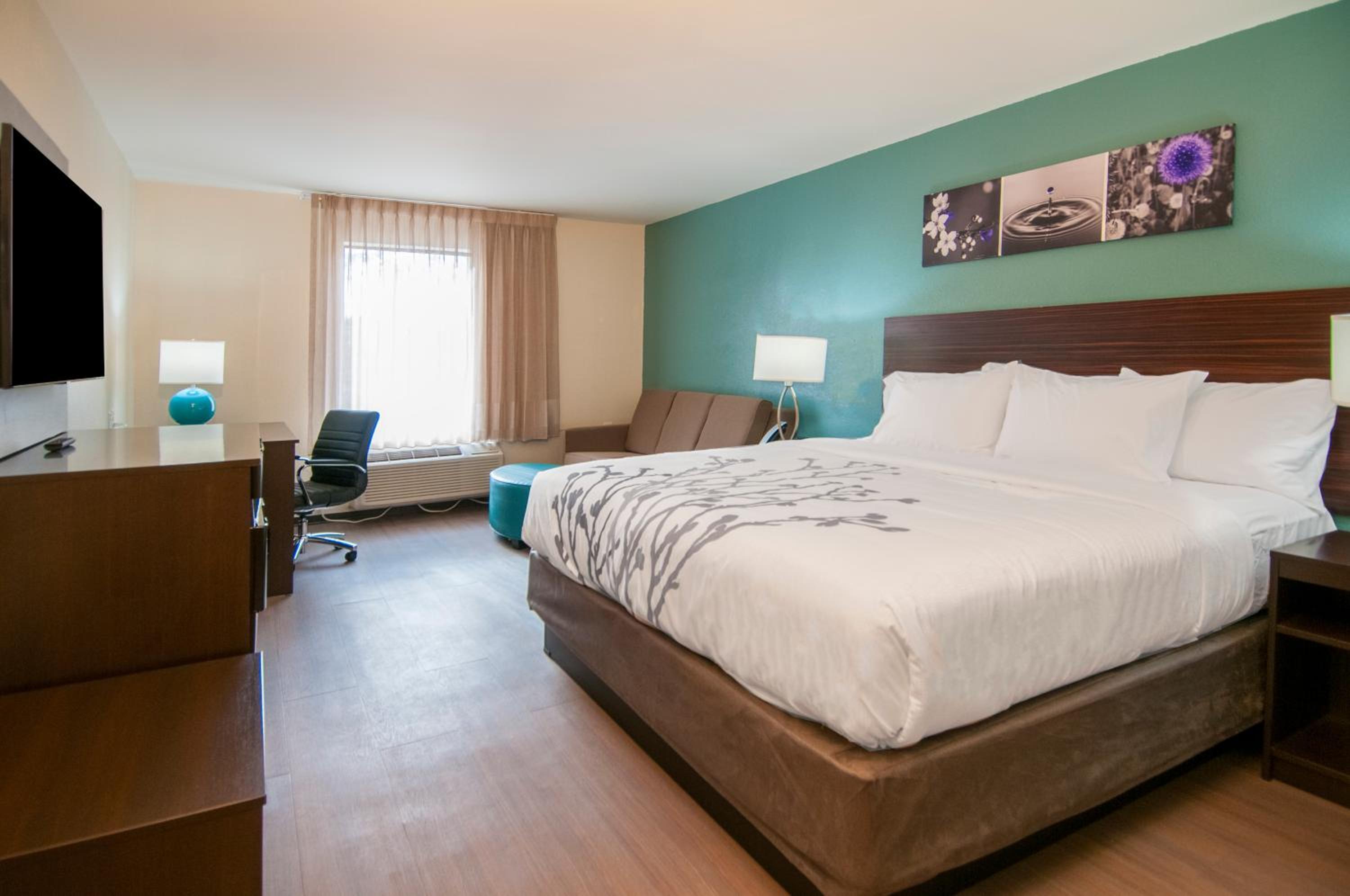 King Suite with Sofa - Non Smoking - Photo 2