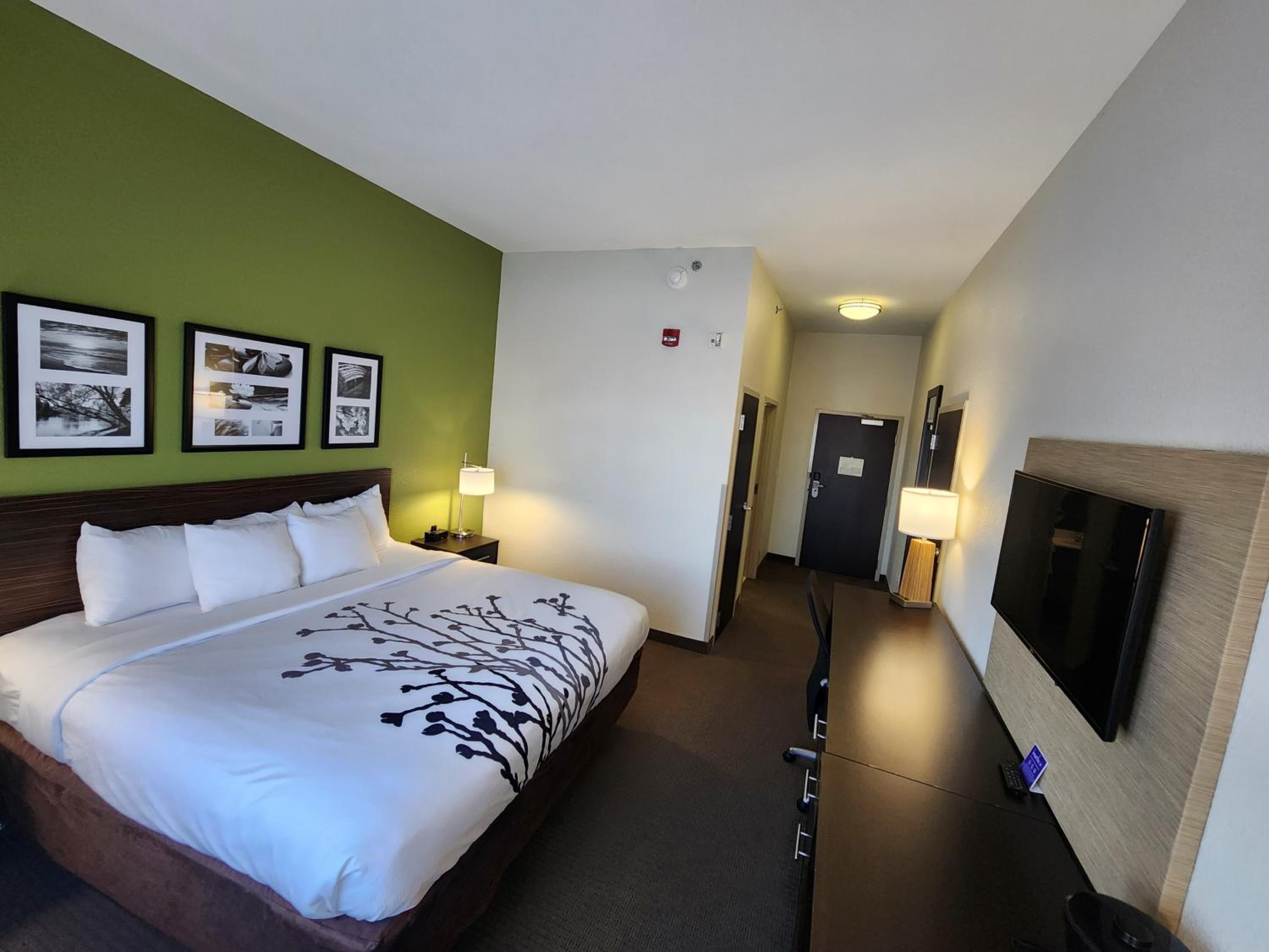 King Room - Accessible/Non-Smoking