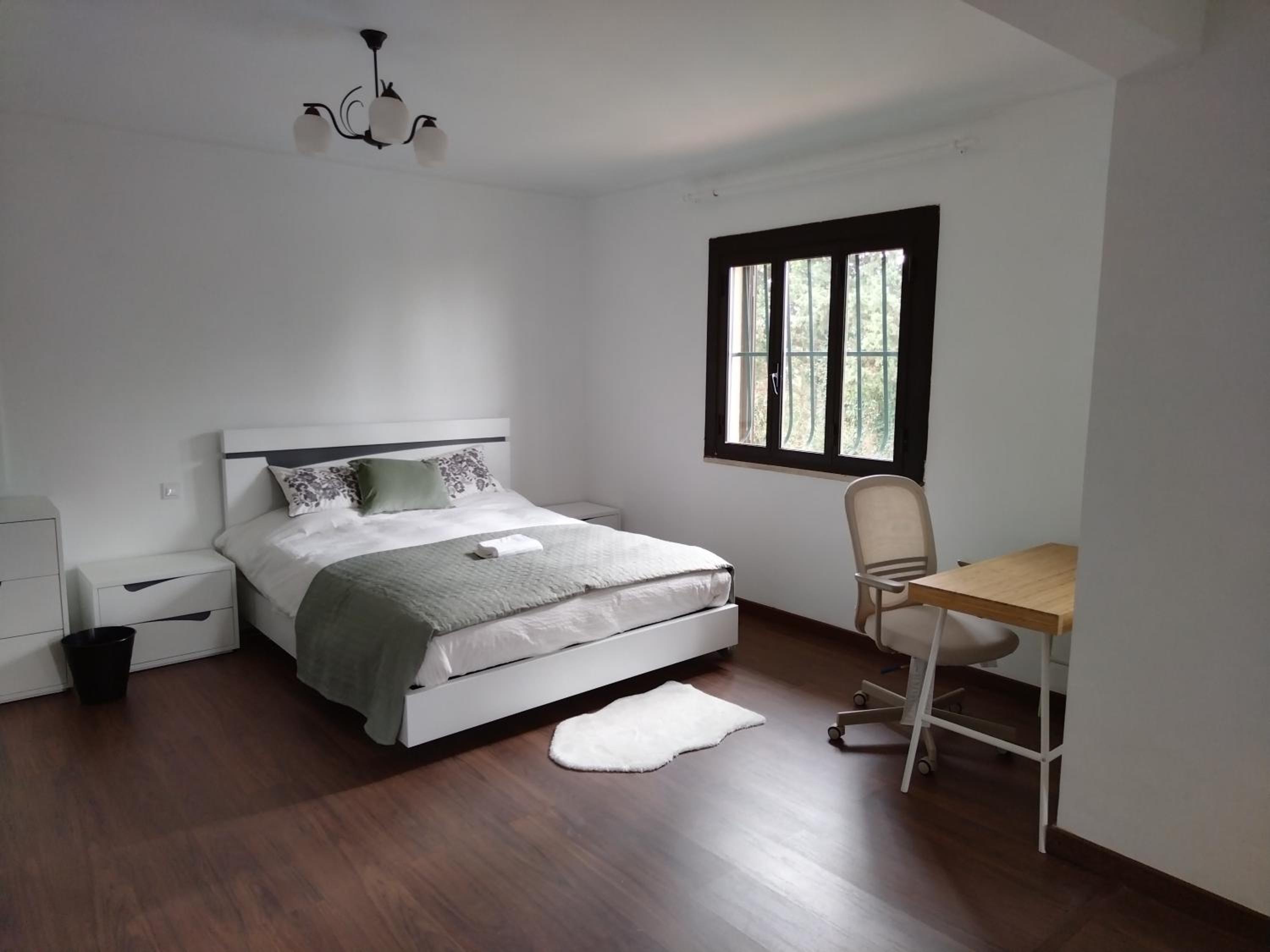 Executive Suite photo 2