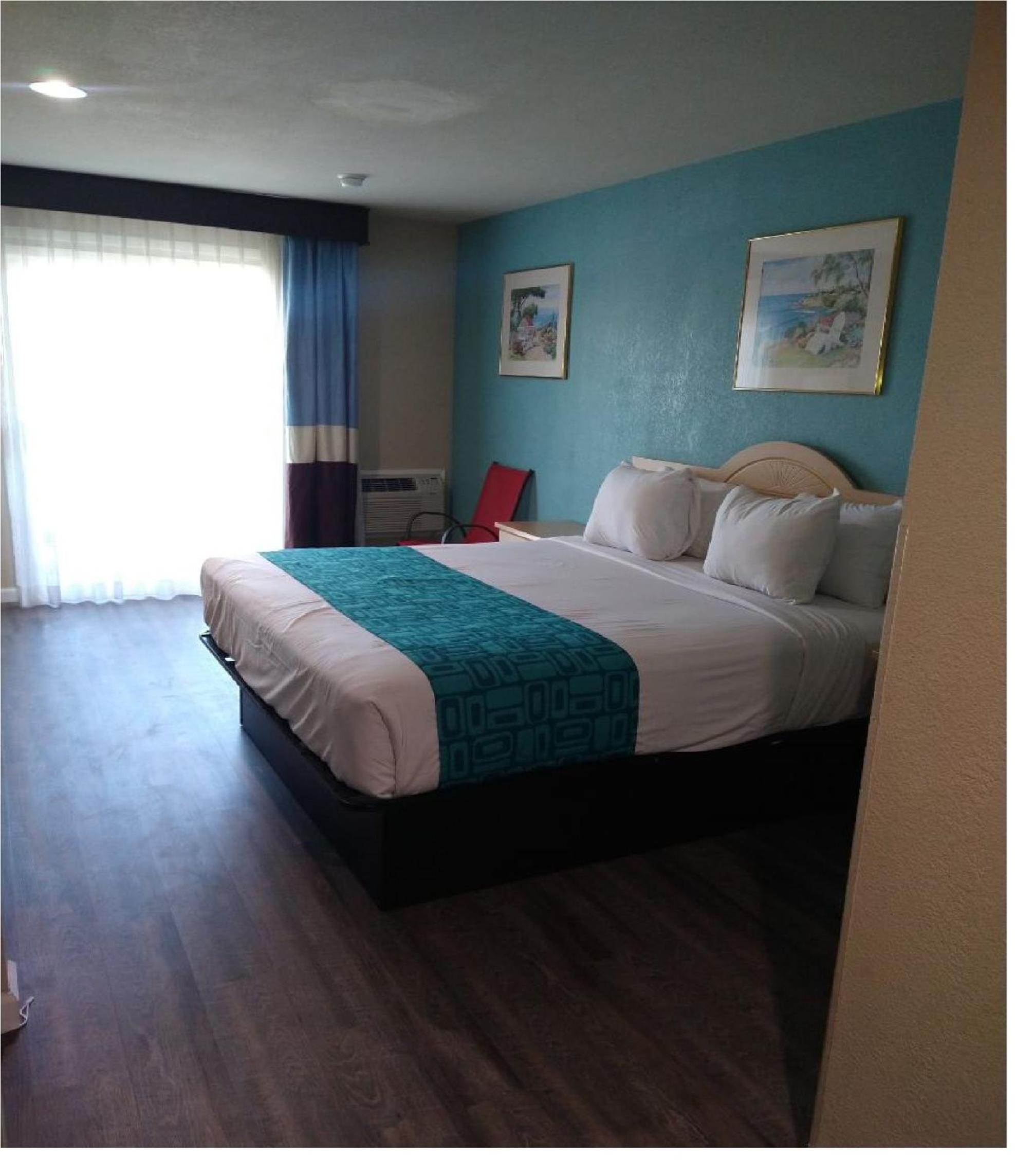 Business King Room with Ocean View - Non-Smoking photo 1