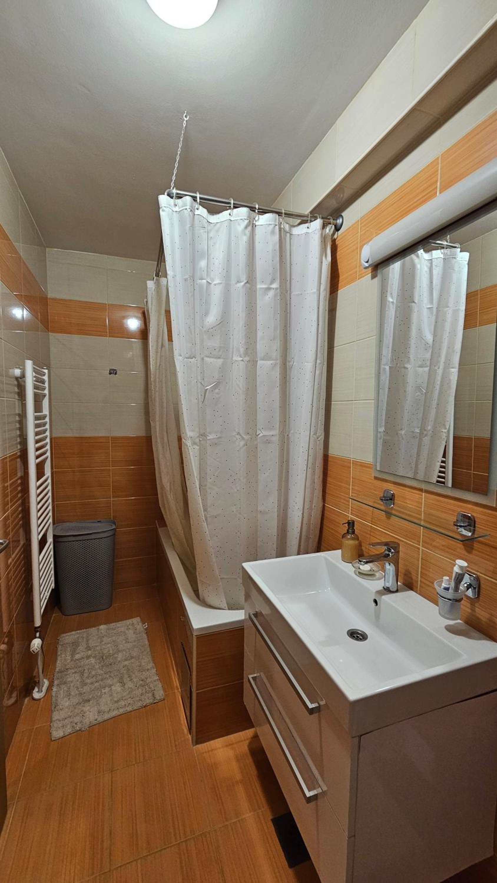 One-Bedroom Apartment photo 3