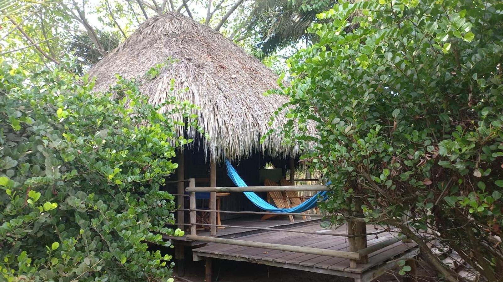 Bungalow with Sea View photo 1