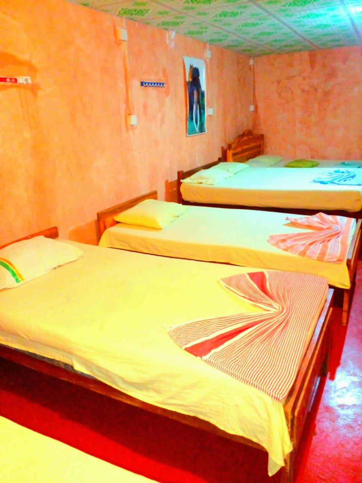10-Bed Mixed Dormitory Room photo 1
