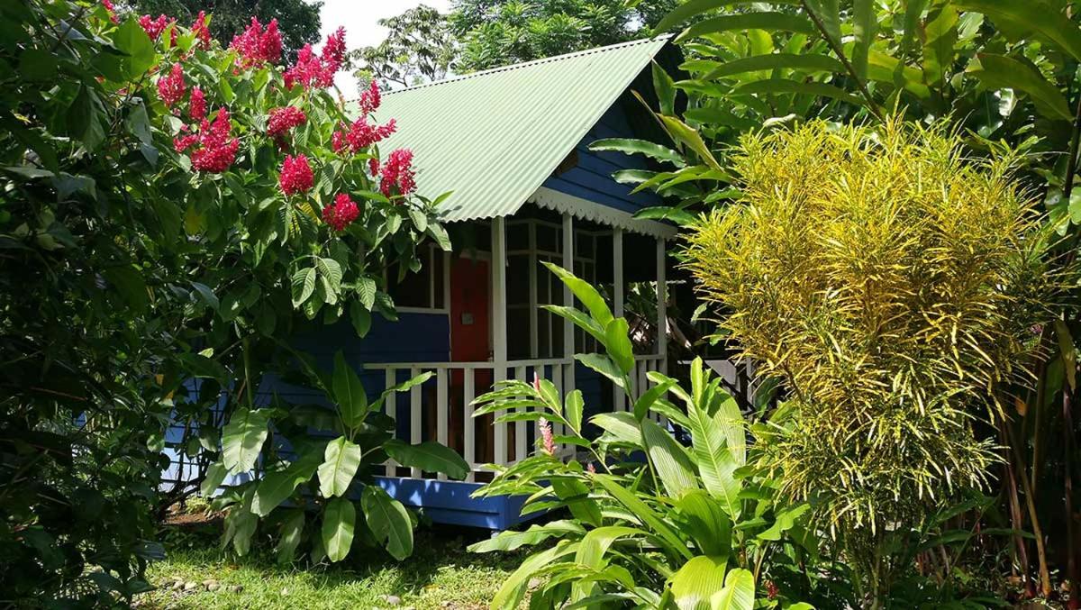 Bungalow (4 Adults) photo 2