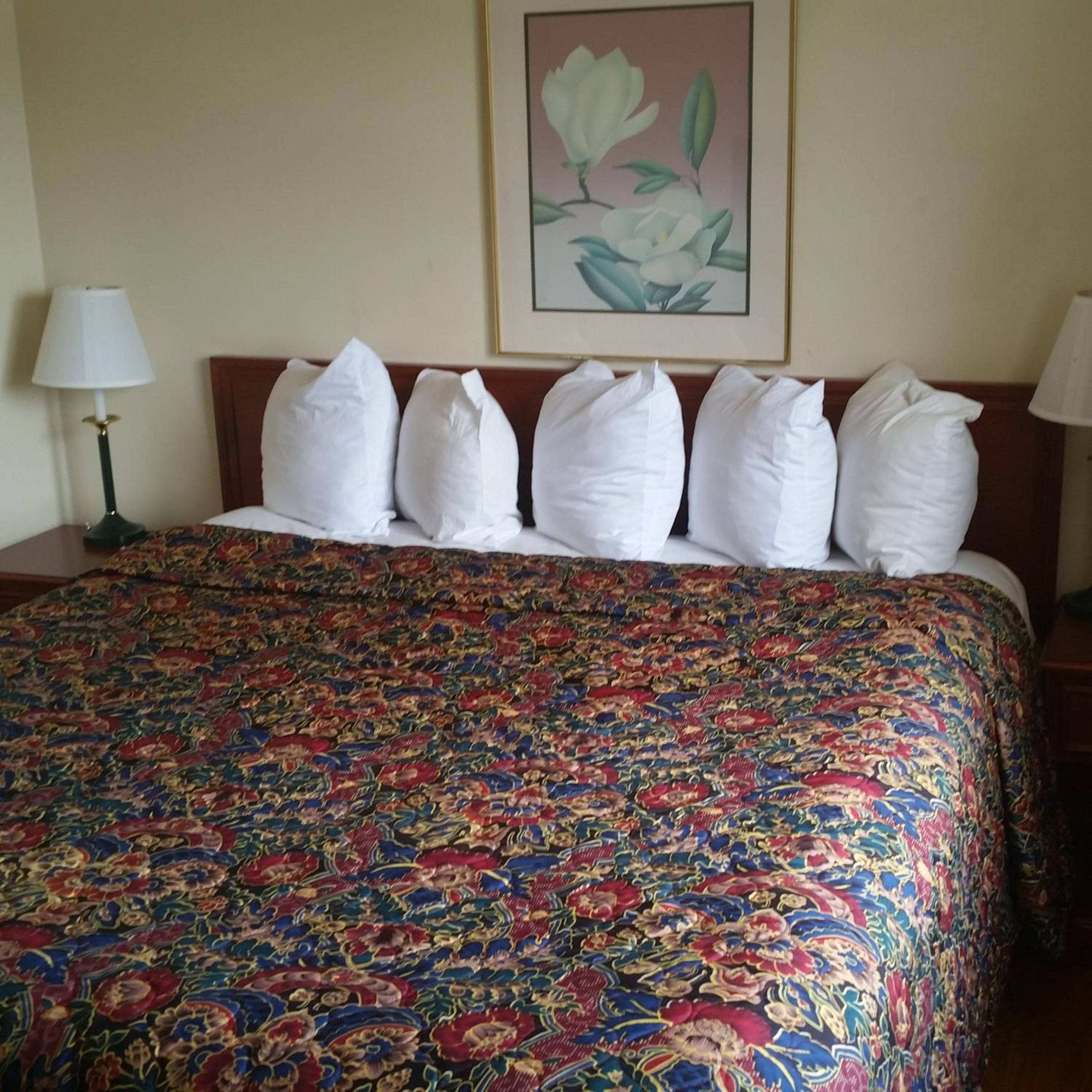  King Suite - Photo 1