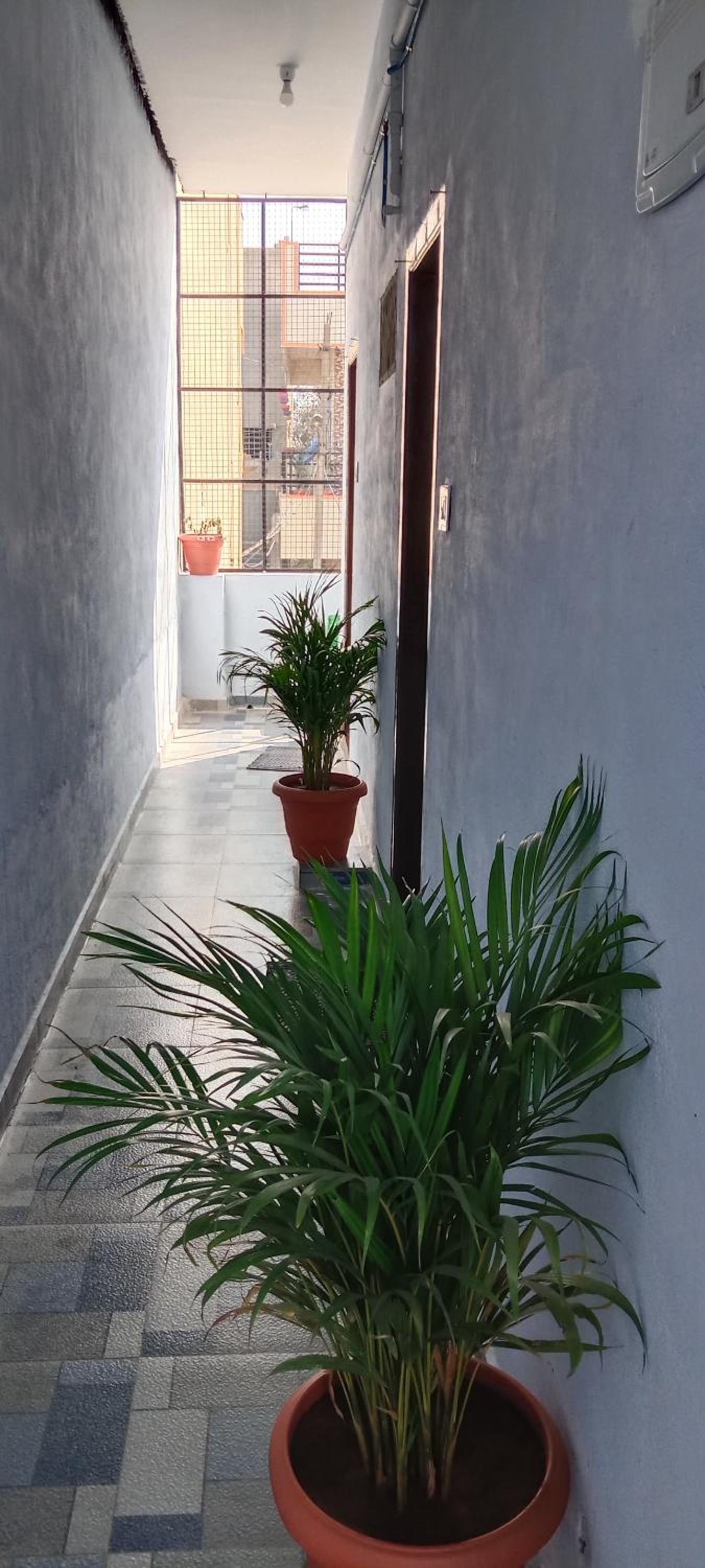Basic Triple Room photo 3