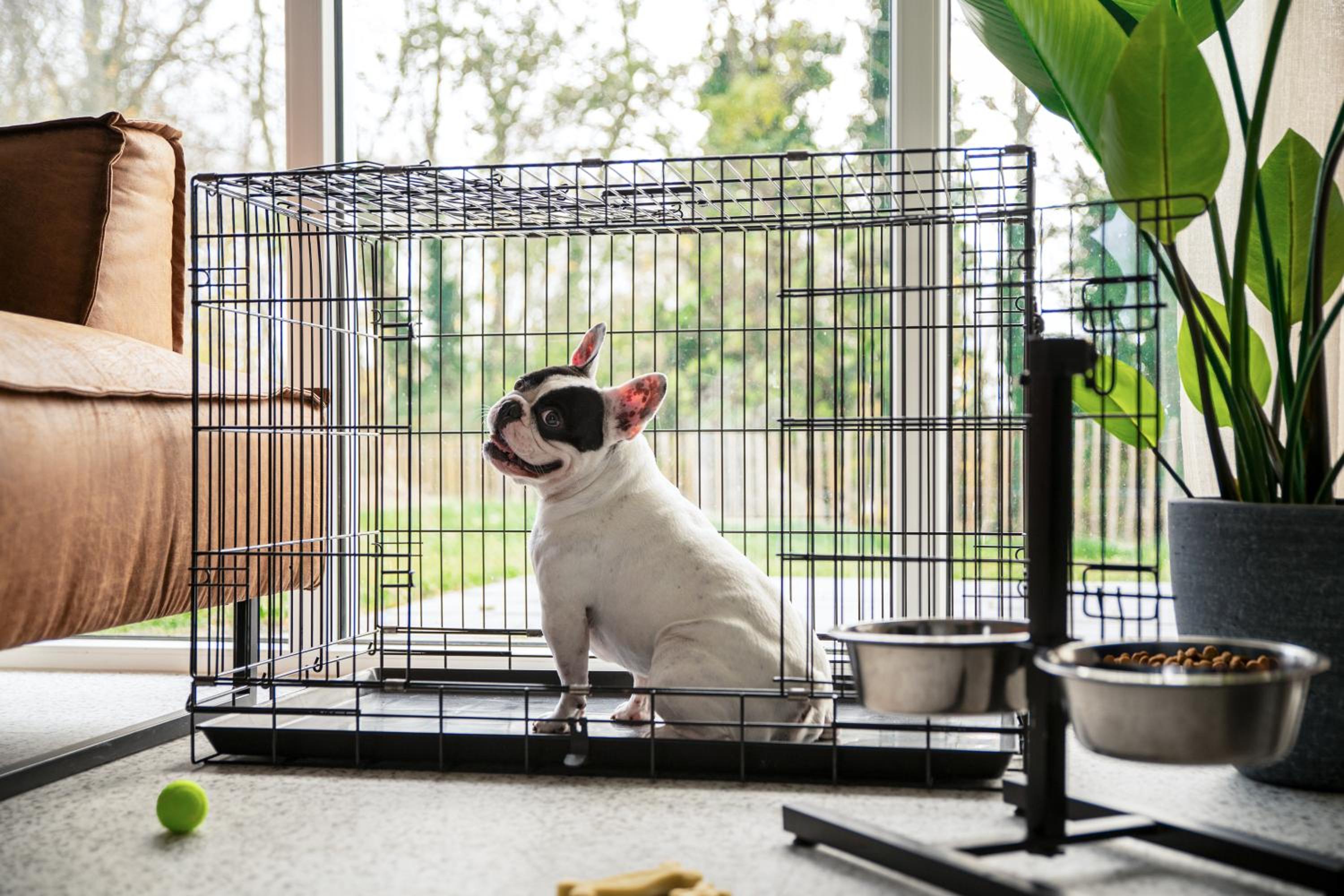 Pets Home Three Bedrooms - Photo 8