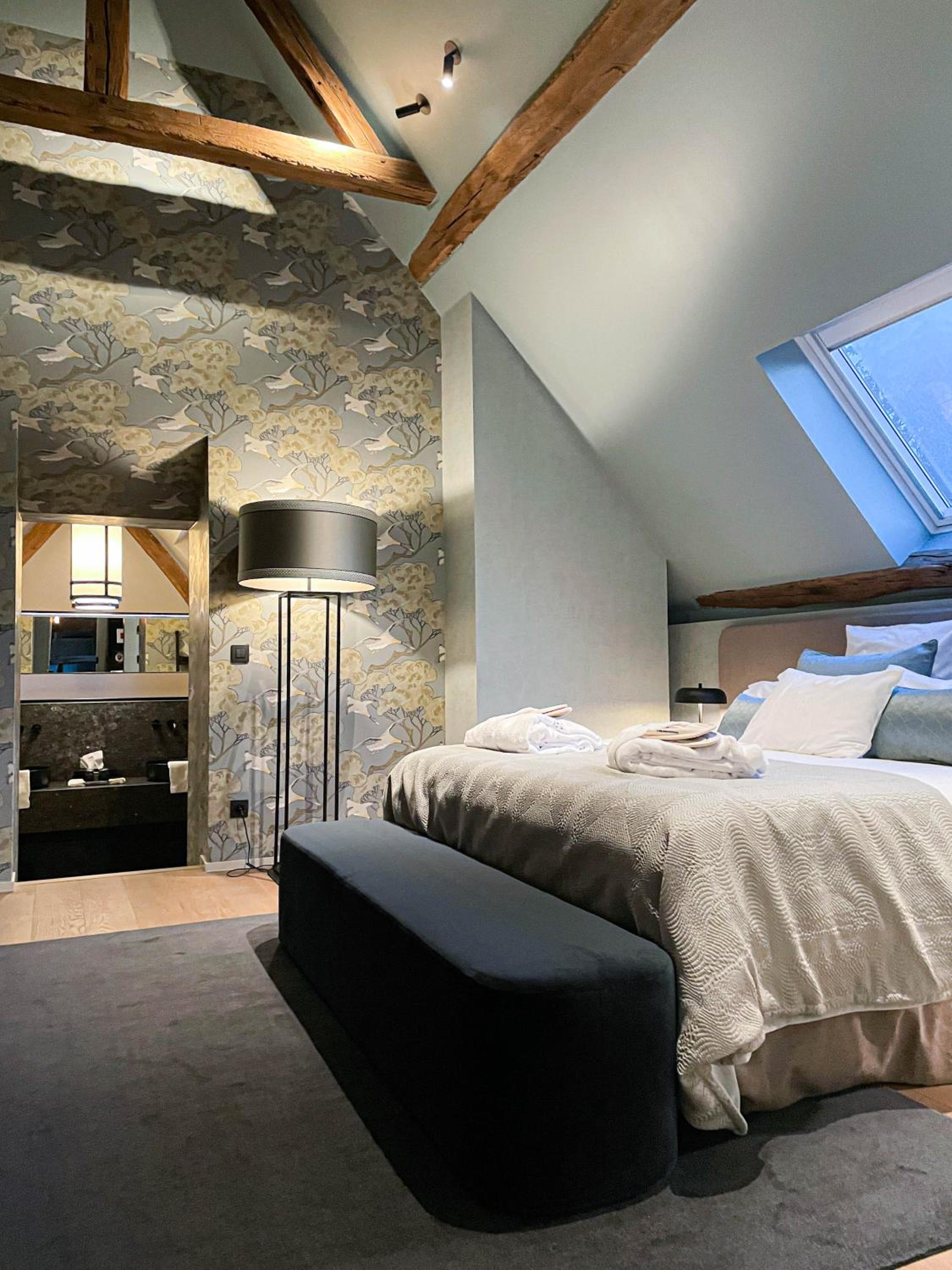 Suite - Photo 1