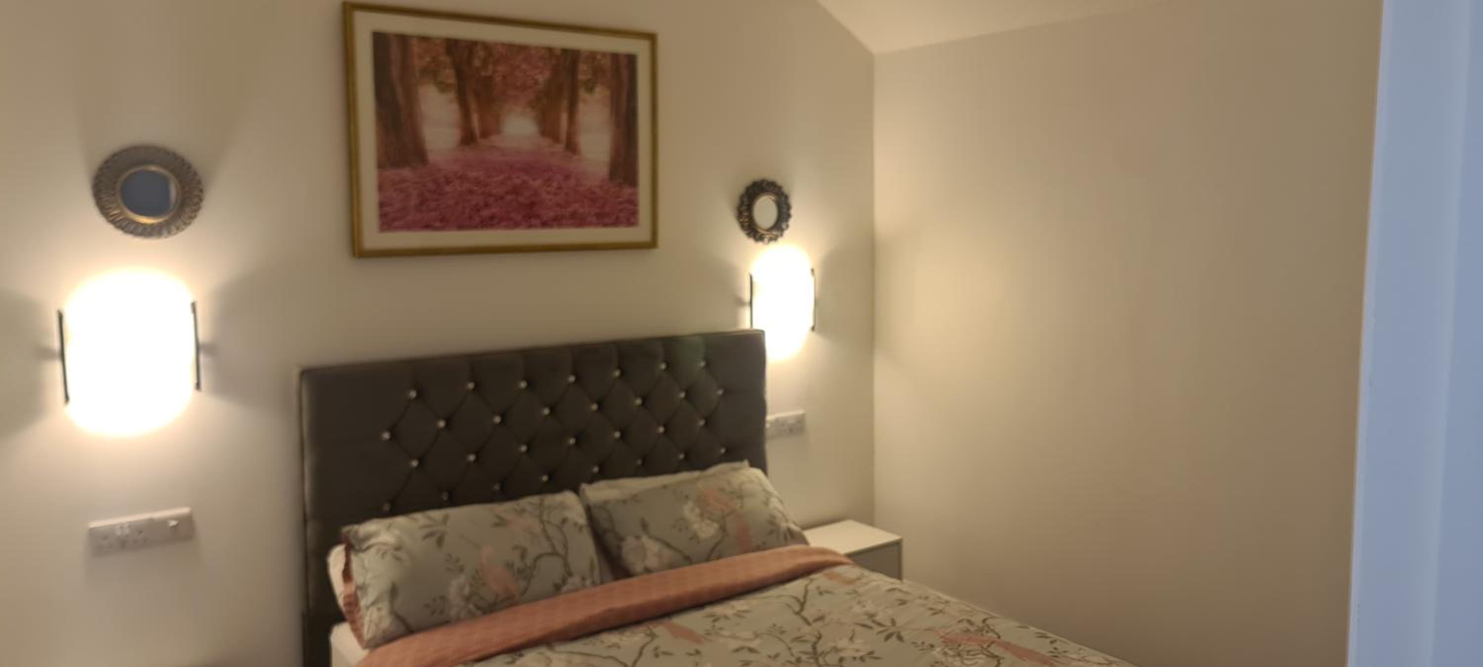 One-Bedroom Apartment photo 3