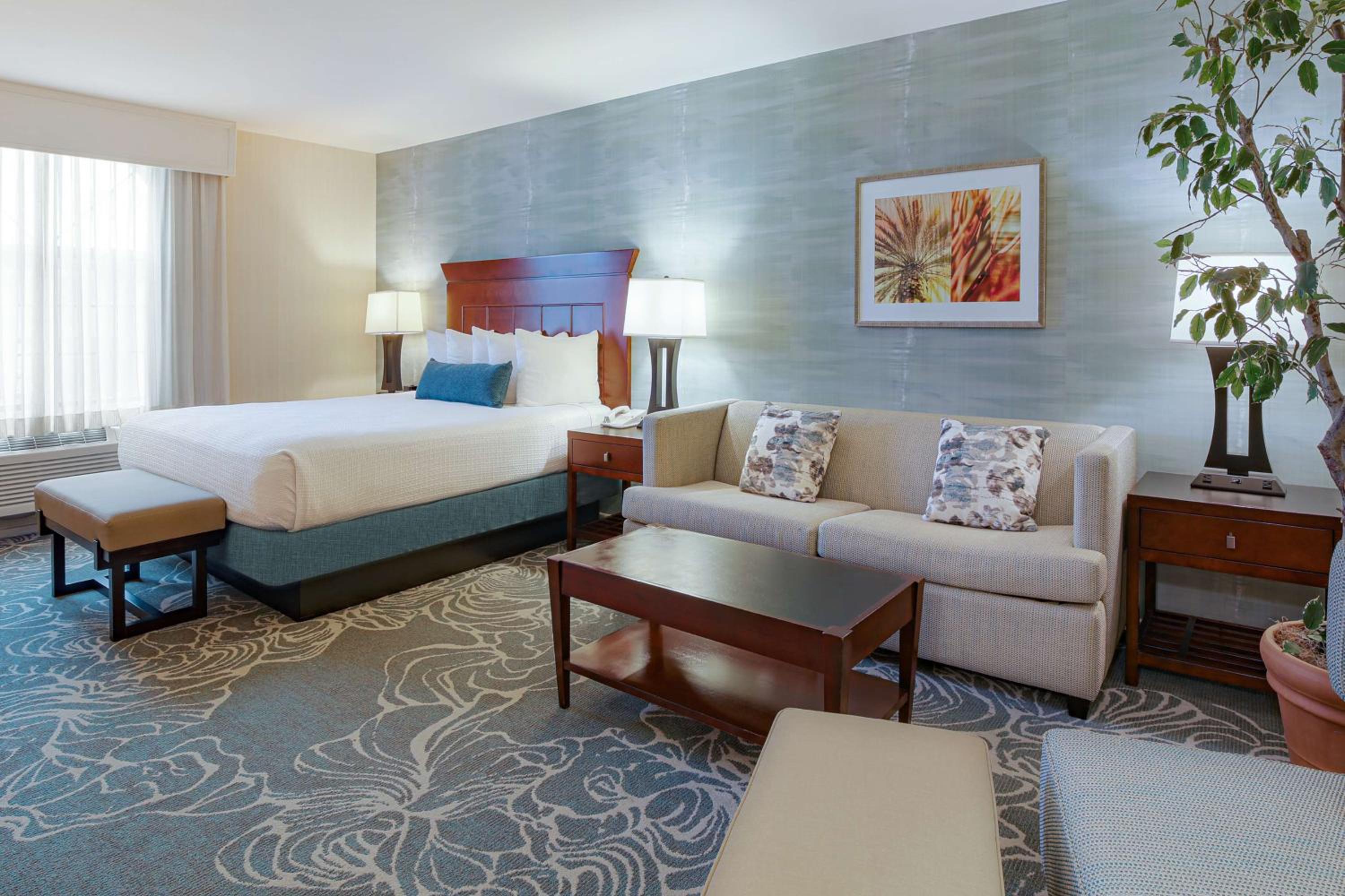 Deluxe King Suite - Non-Smoking - Photo 1