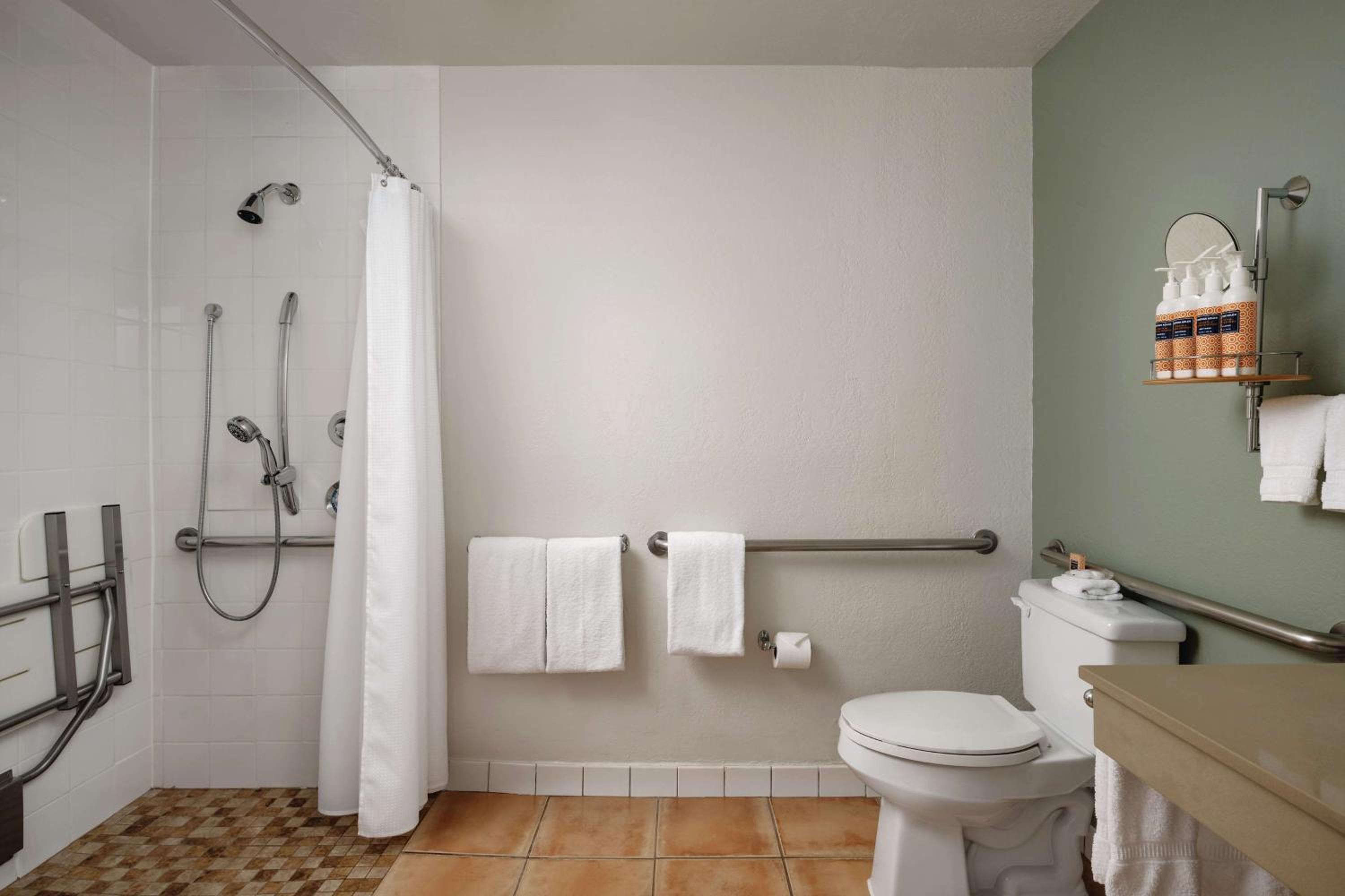 King Room with Accessible Shower - Photo 4