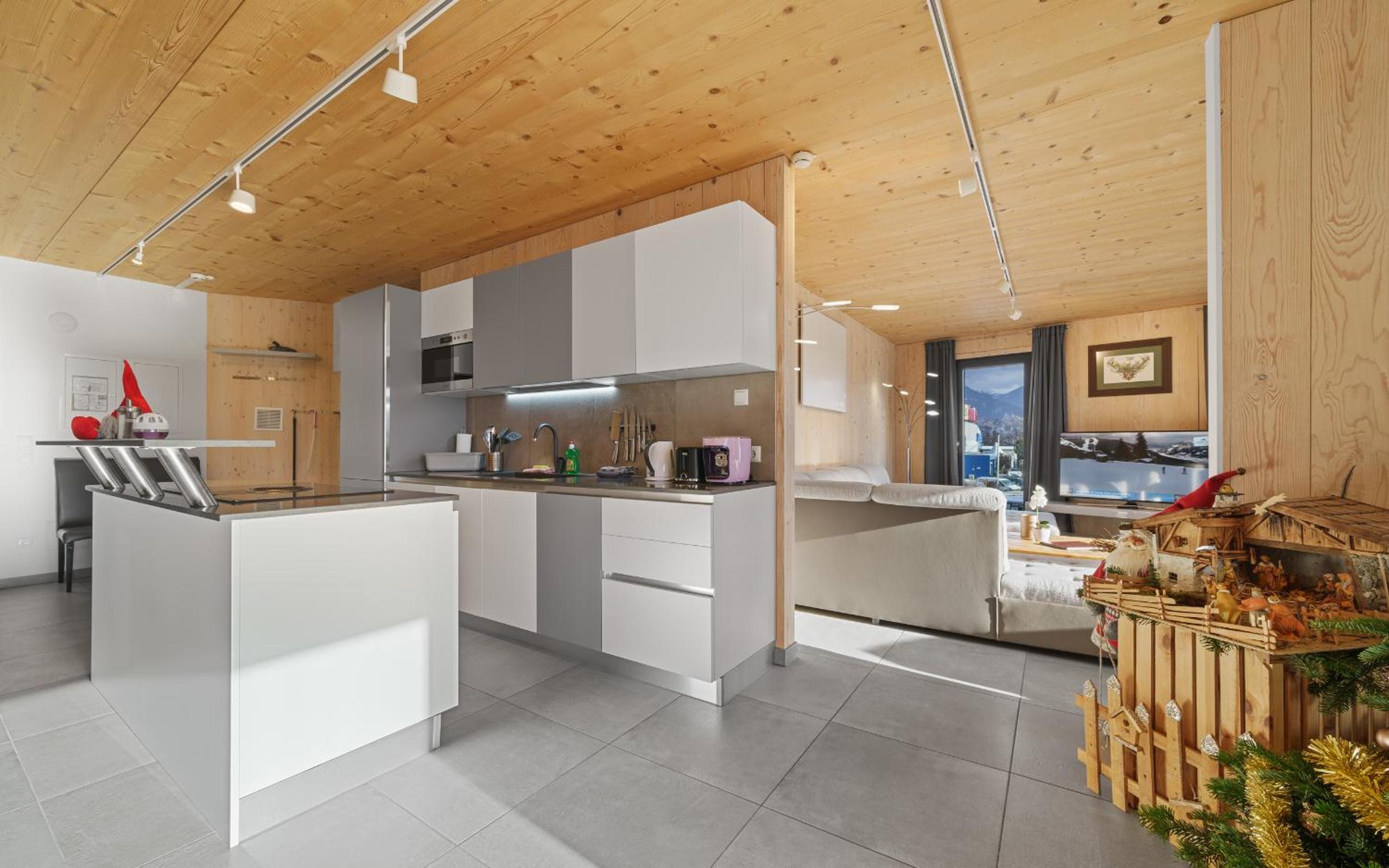 Penthouse Apartment with Terrace photo 3