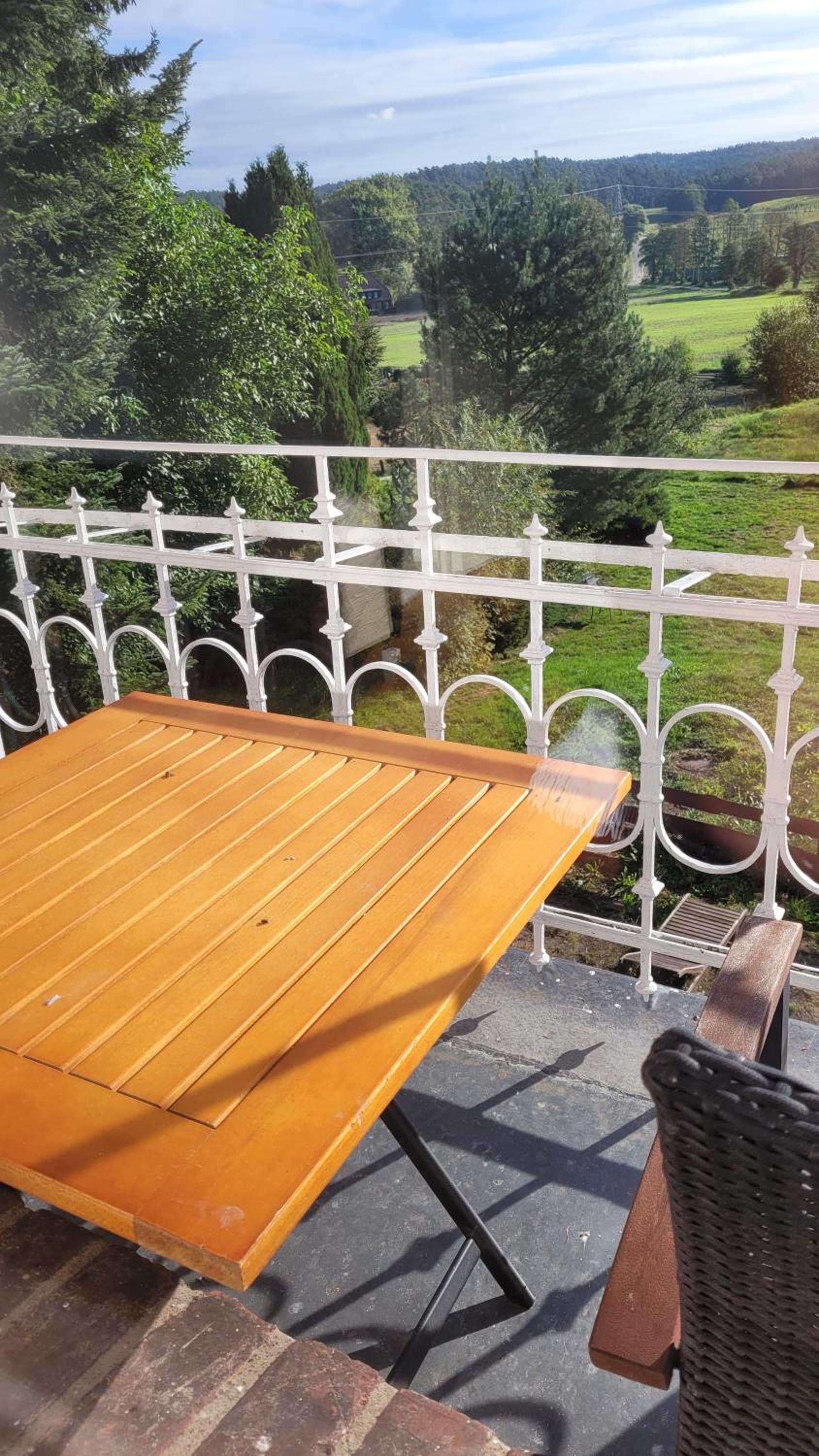 Double Room with Balcony photo 3