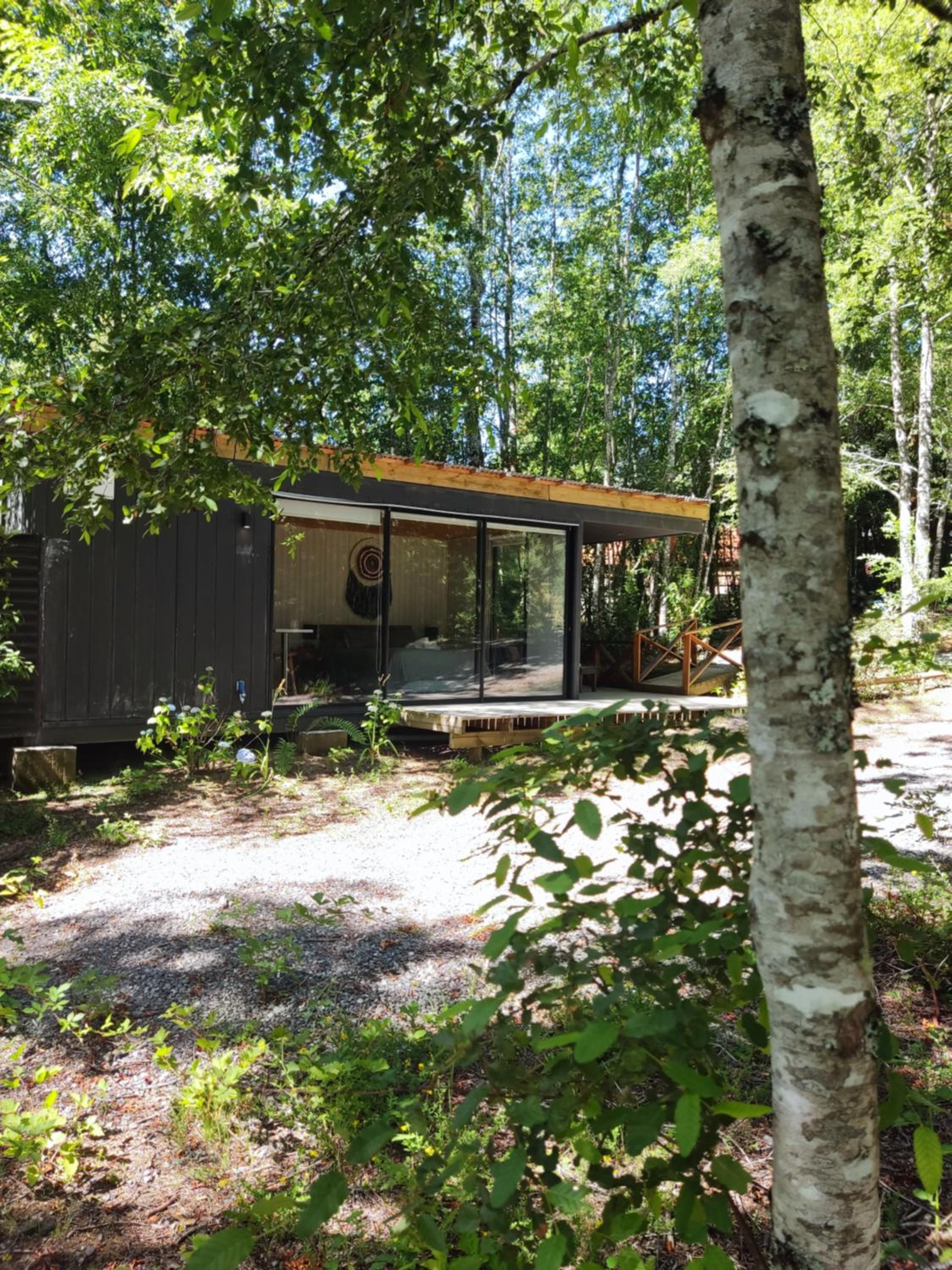 Bungalow with Terrace photo 2