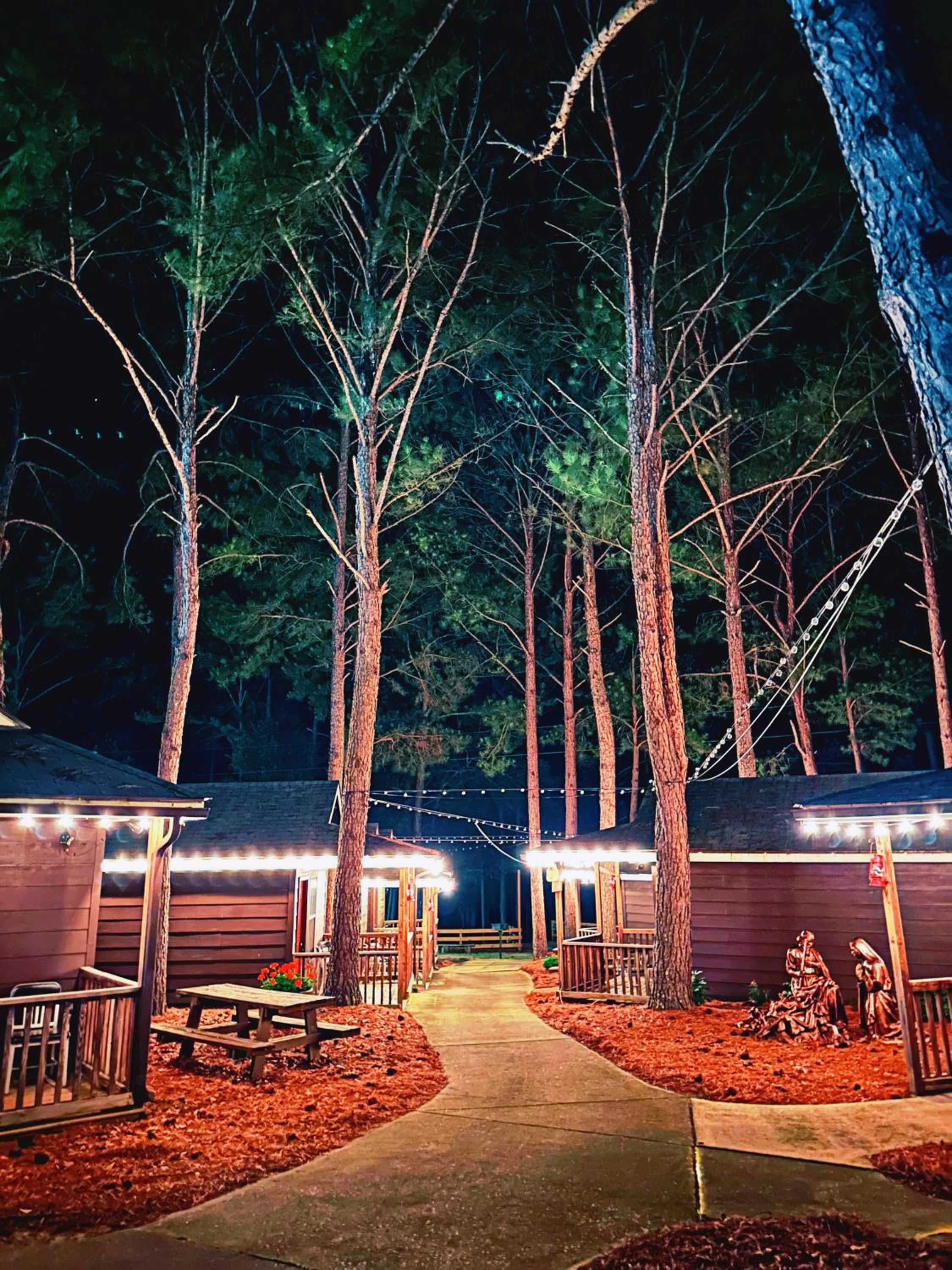 Cowboy Cabin - Queen - Photo 9