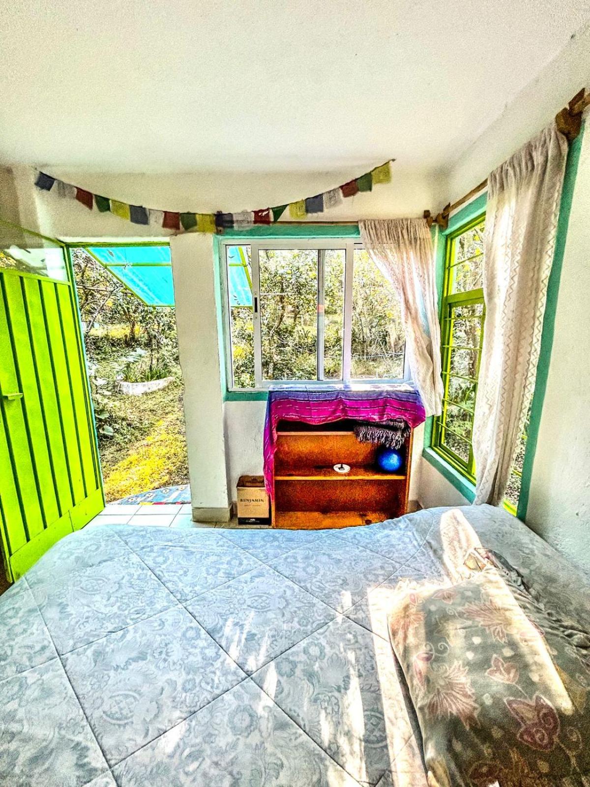 Bungalow with Garden View - Photo 6