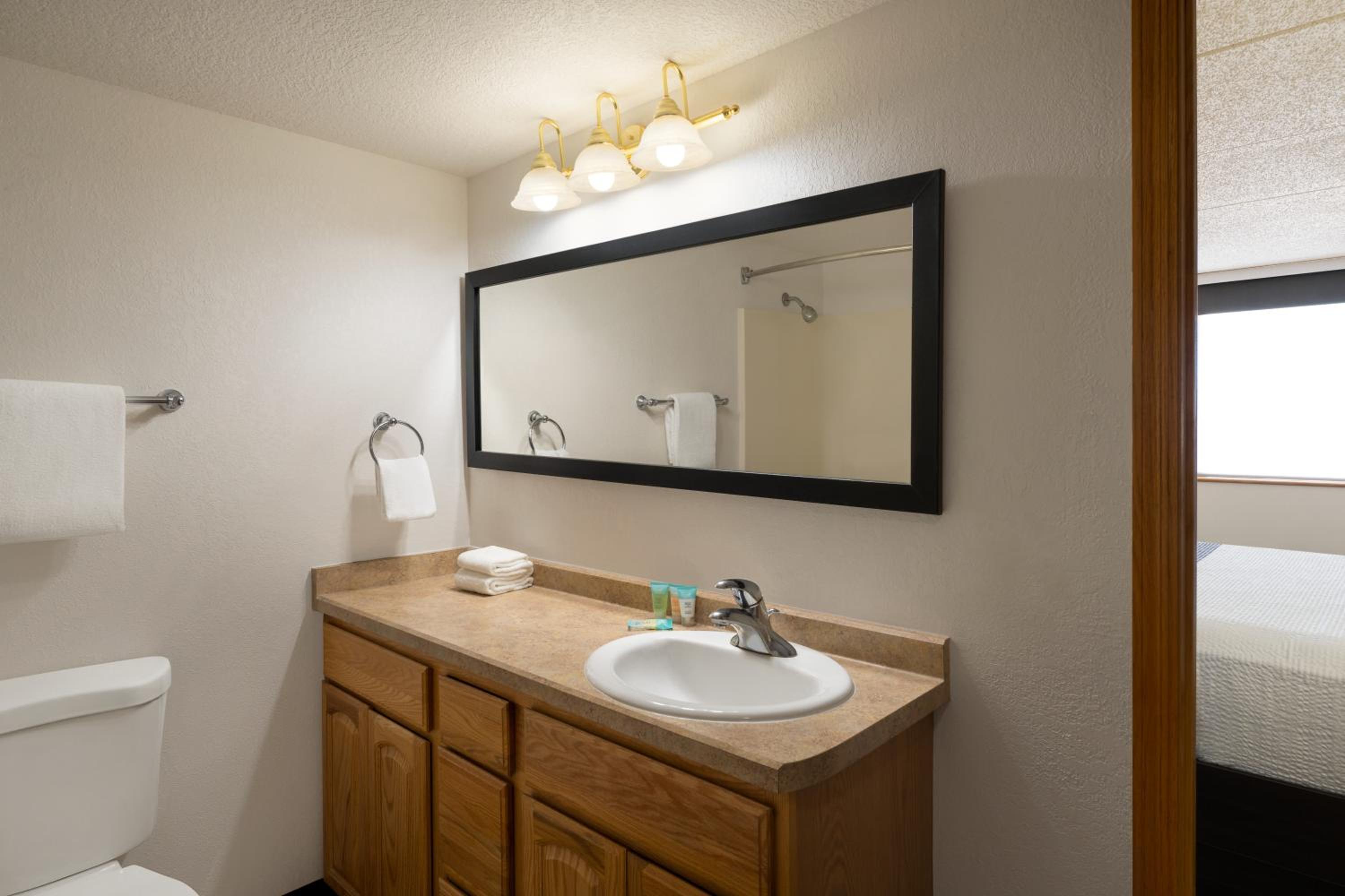 One -Bedroom King Suite, Non-Smoking - Photo 11