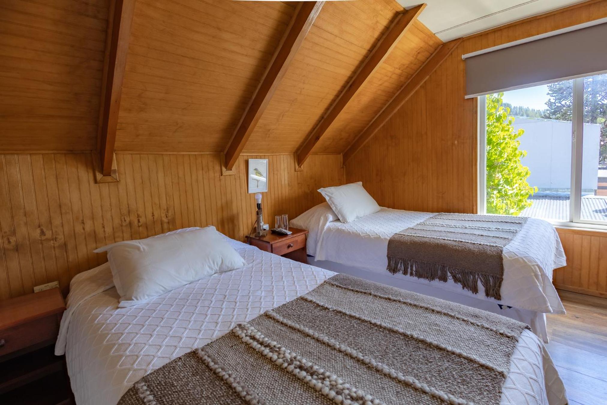 Twin Room photo 3