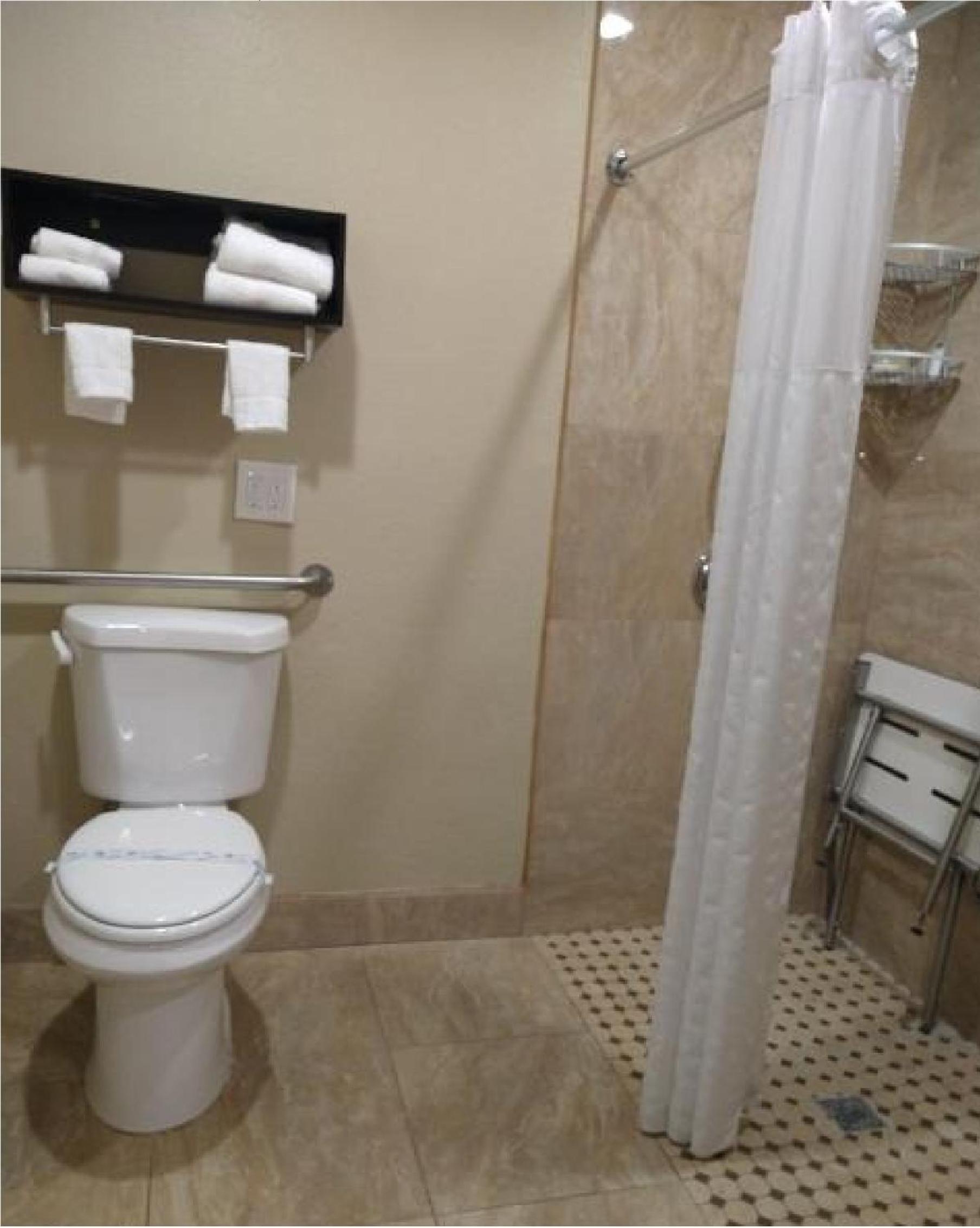 King Room with Roll-in Shower - Mobility Access/Non-Smoking photo 3