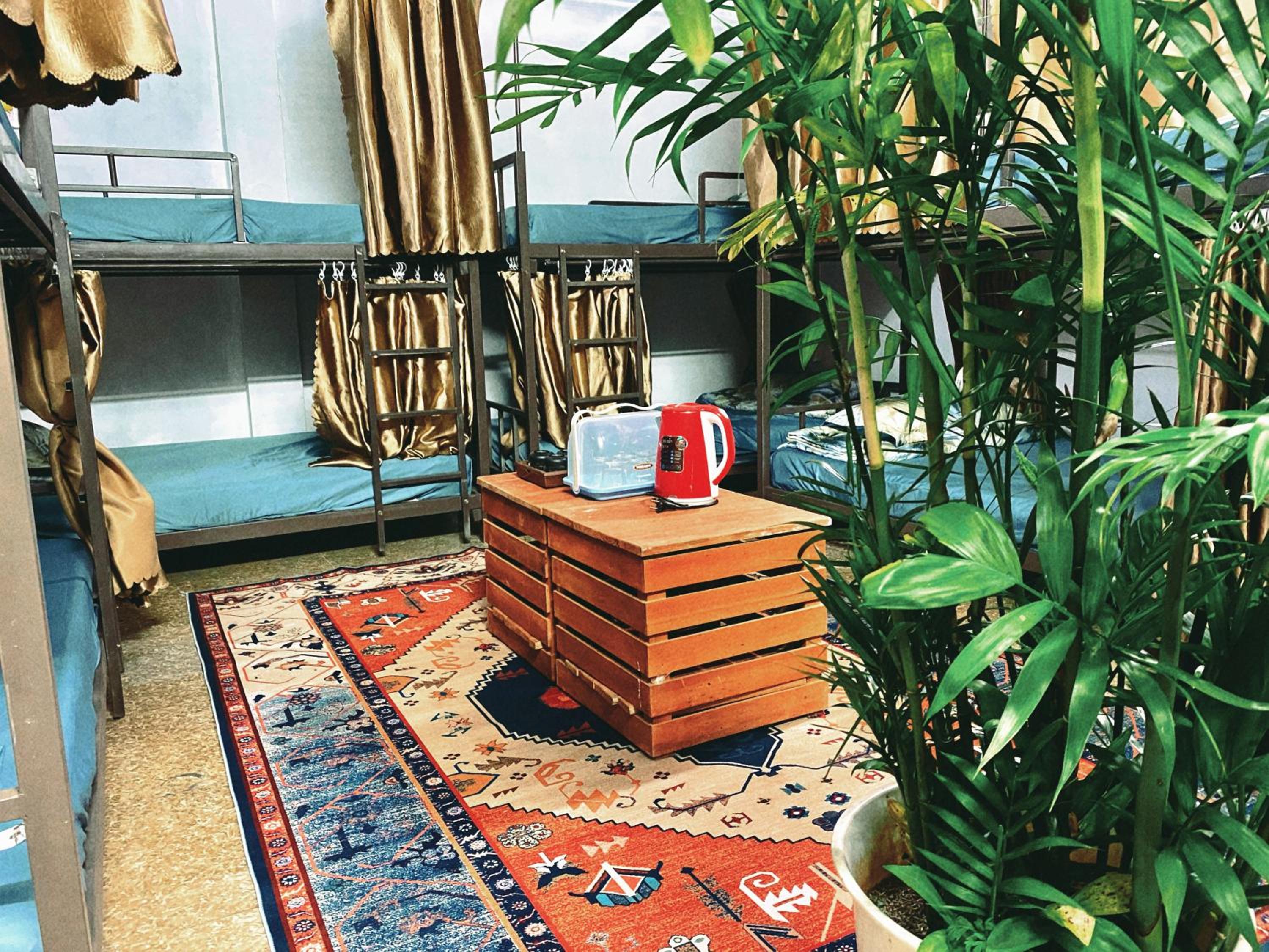 Bunk Bed In Mixed Dormitory Room photo 1