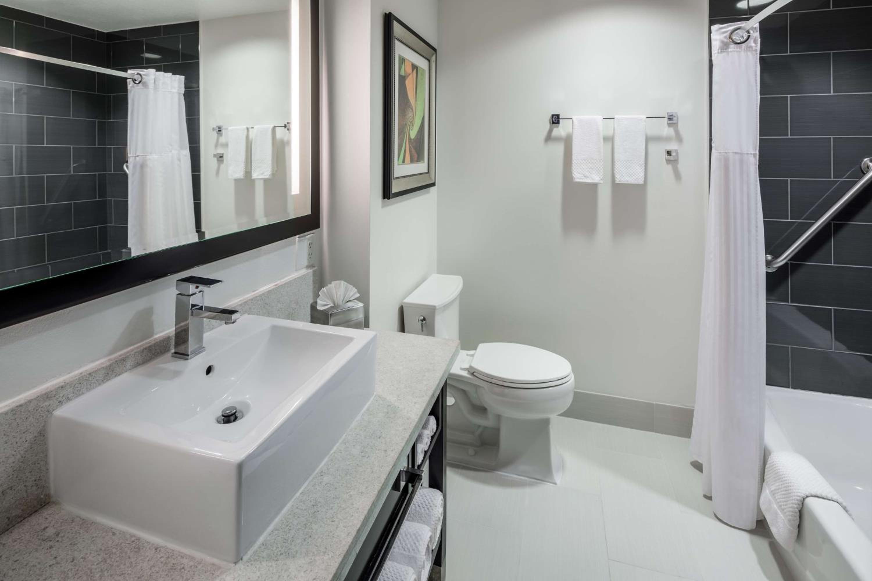 Two-Bedroom King Suite - Photo 3