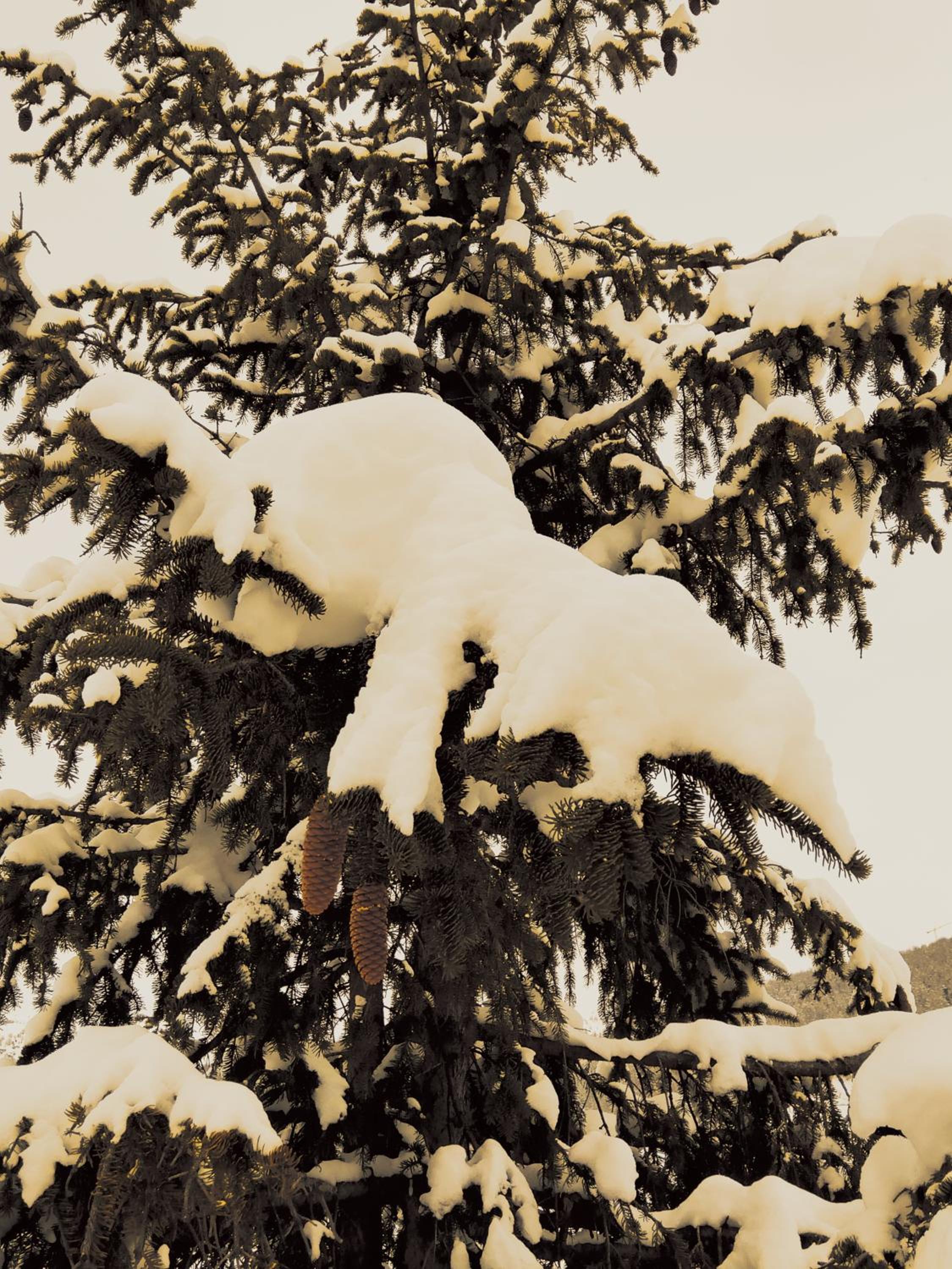 Il posto al sole, 写真 62