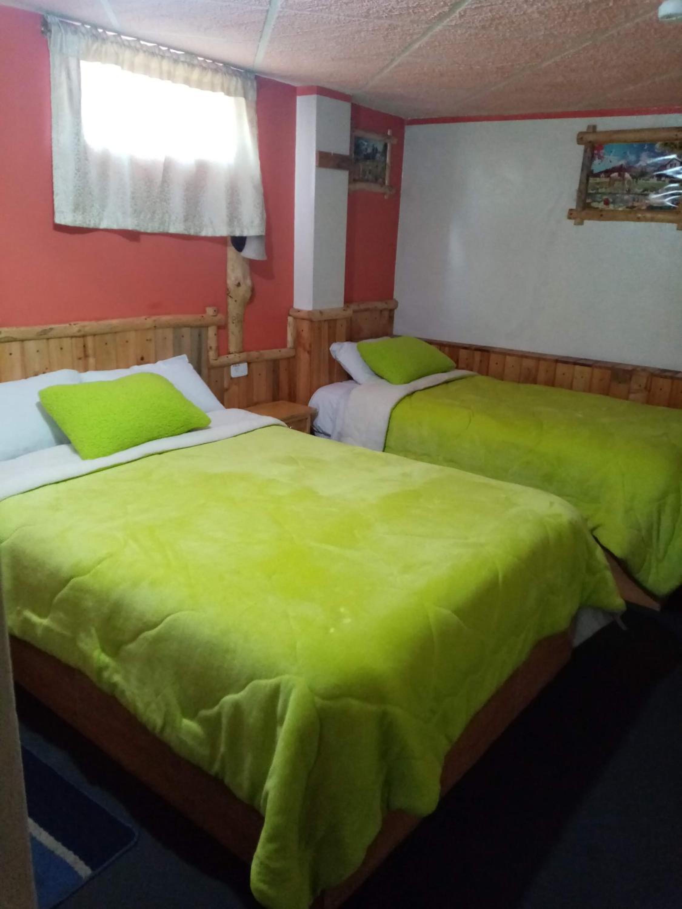 Twin Room photo 1