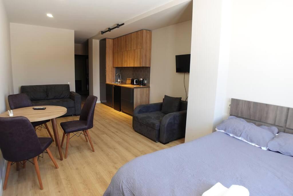 One-Bedroom Apartment photo 3