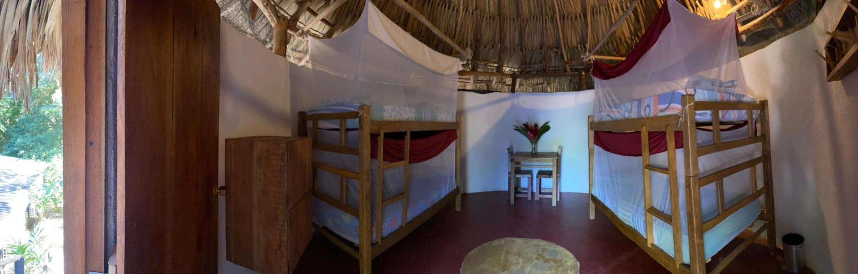 Single Bed in 4-Bed Dormitory Room photo 1