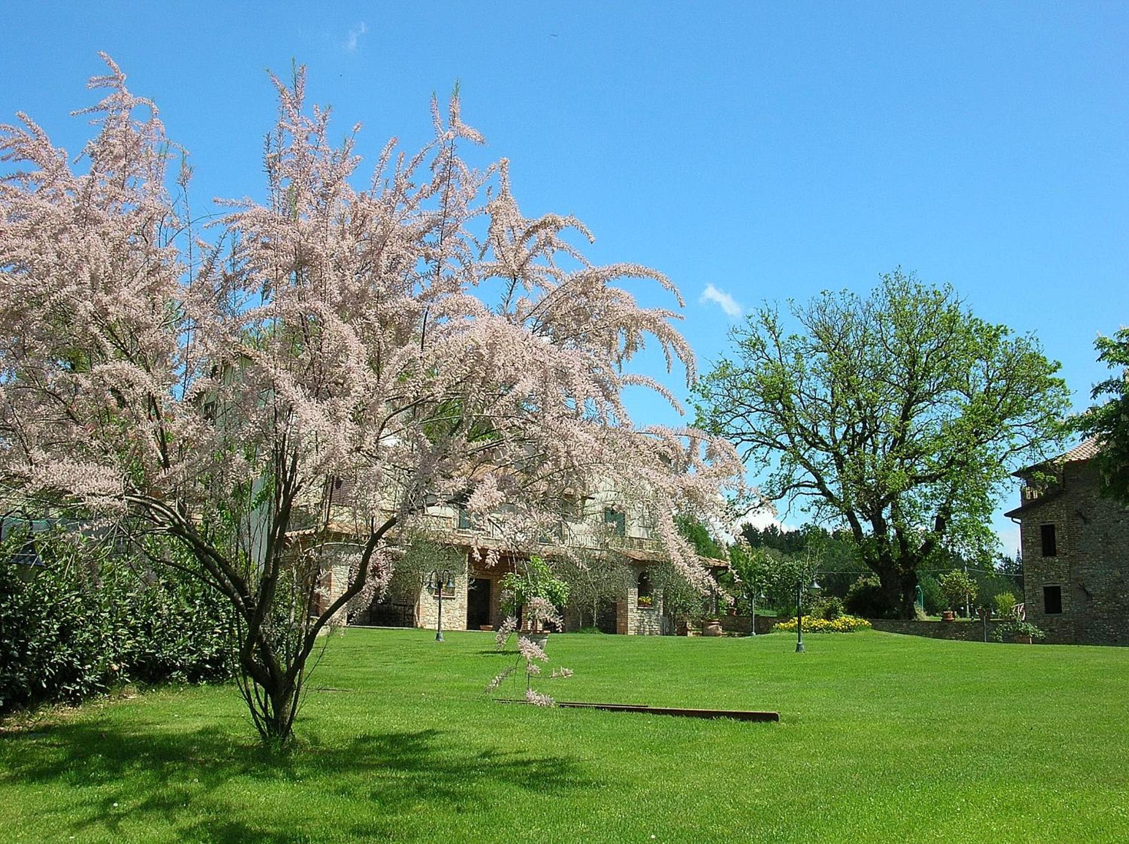 Villa photo 3