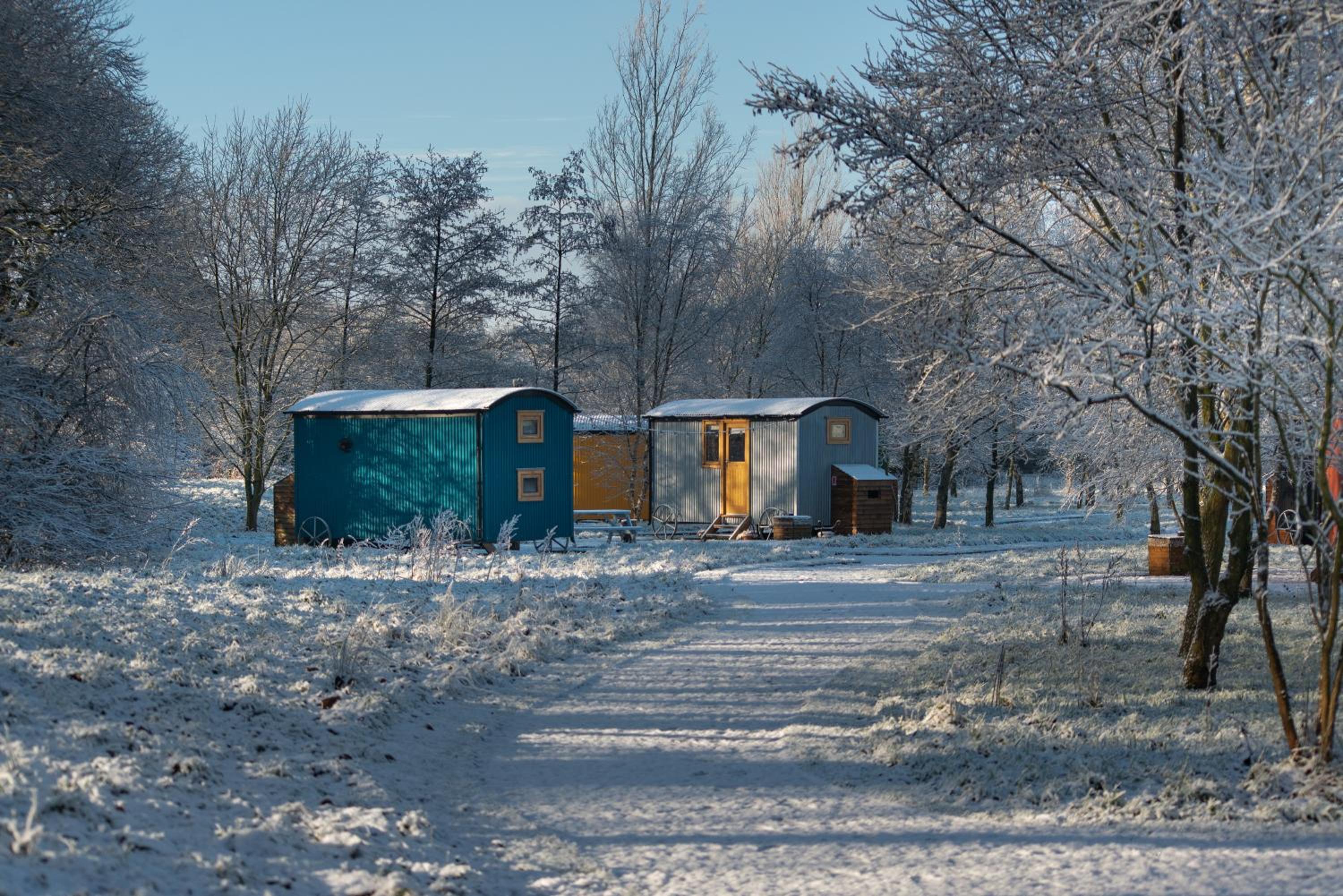 Family Room photo 1