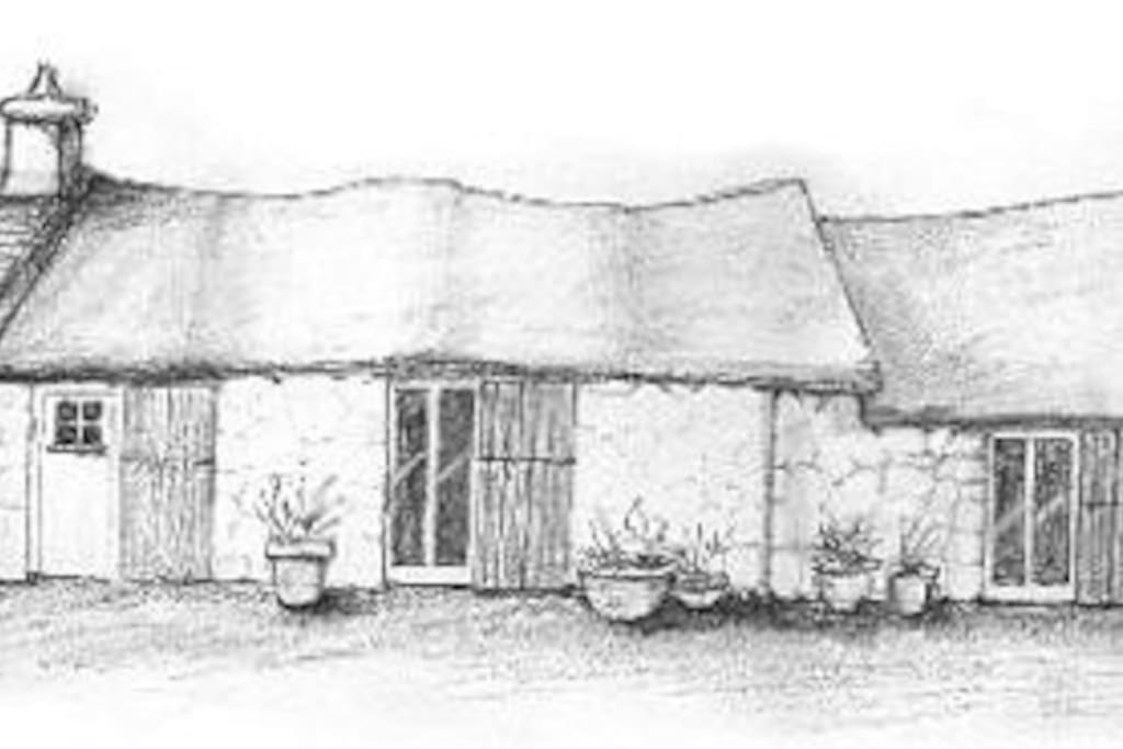 One-Bedroom Apartment photo 3