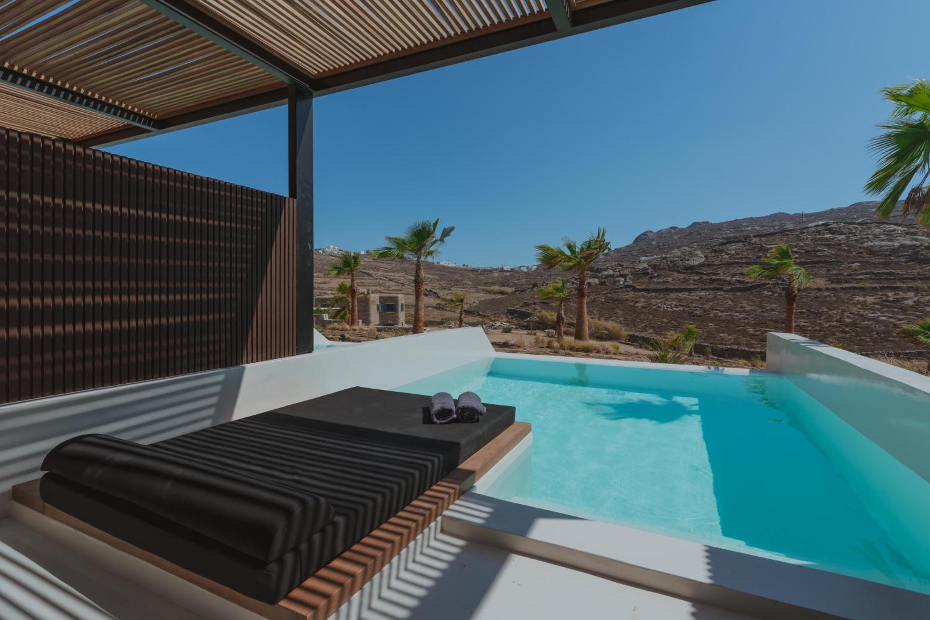 Junior Suite with Private Infinity Pool - Photo 3