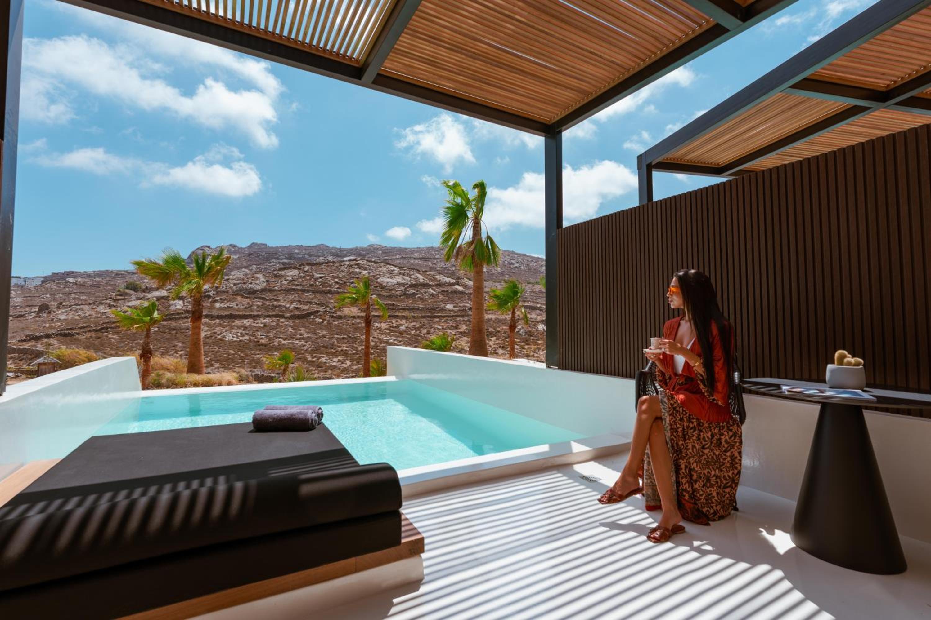 Junior Suite with Private Infinity Pool - Photo 7