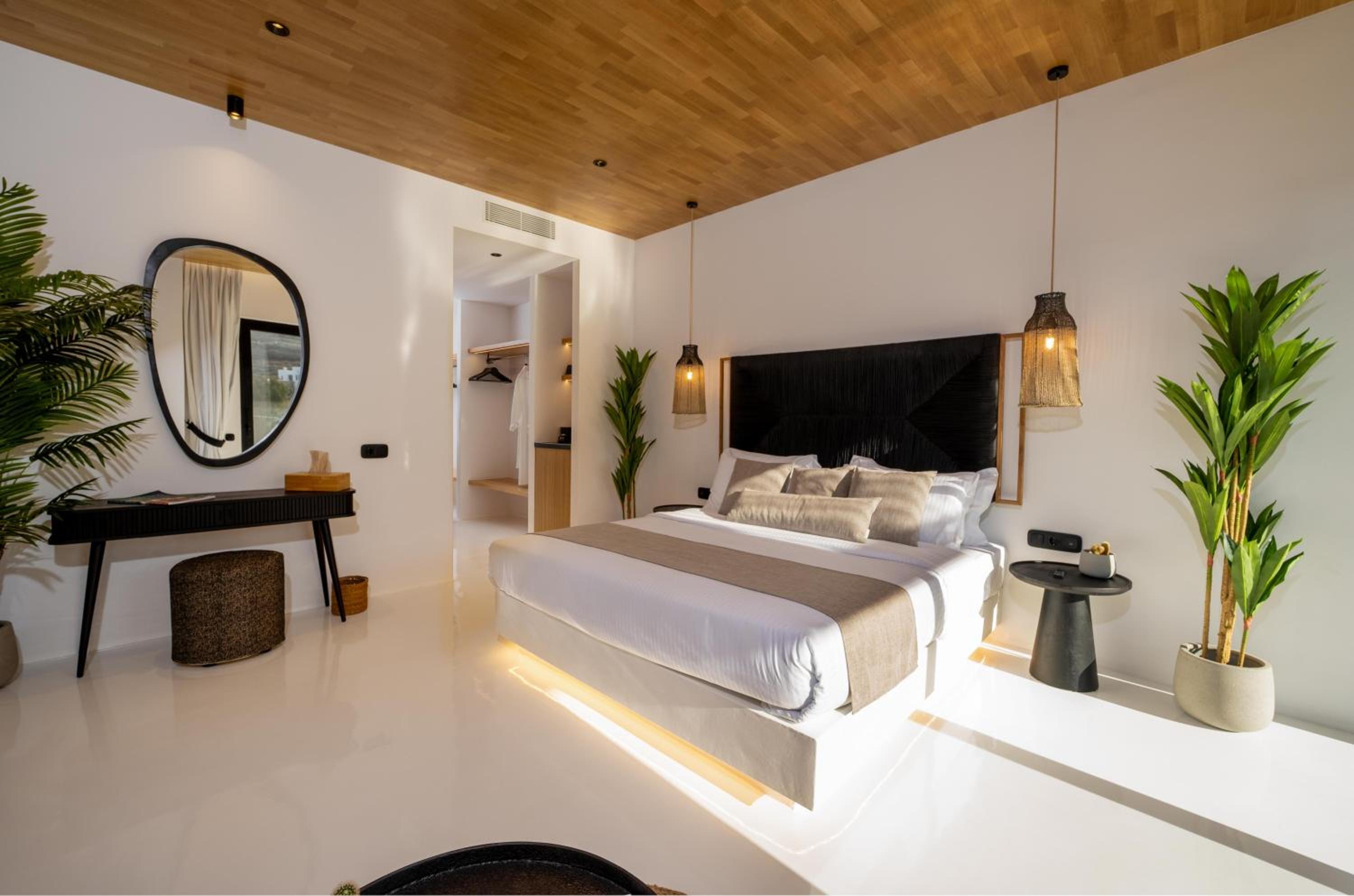 Executive Suite with Big Private Infinity Pool photo 3